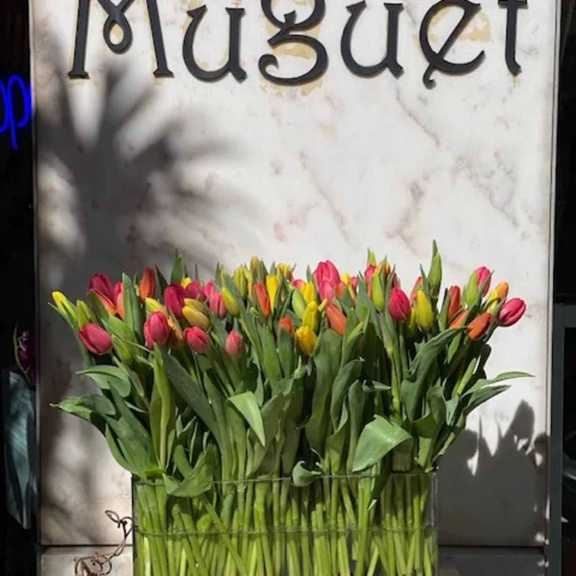 Mixed tulips in a black rectangular container