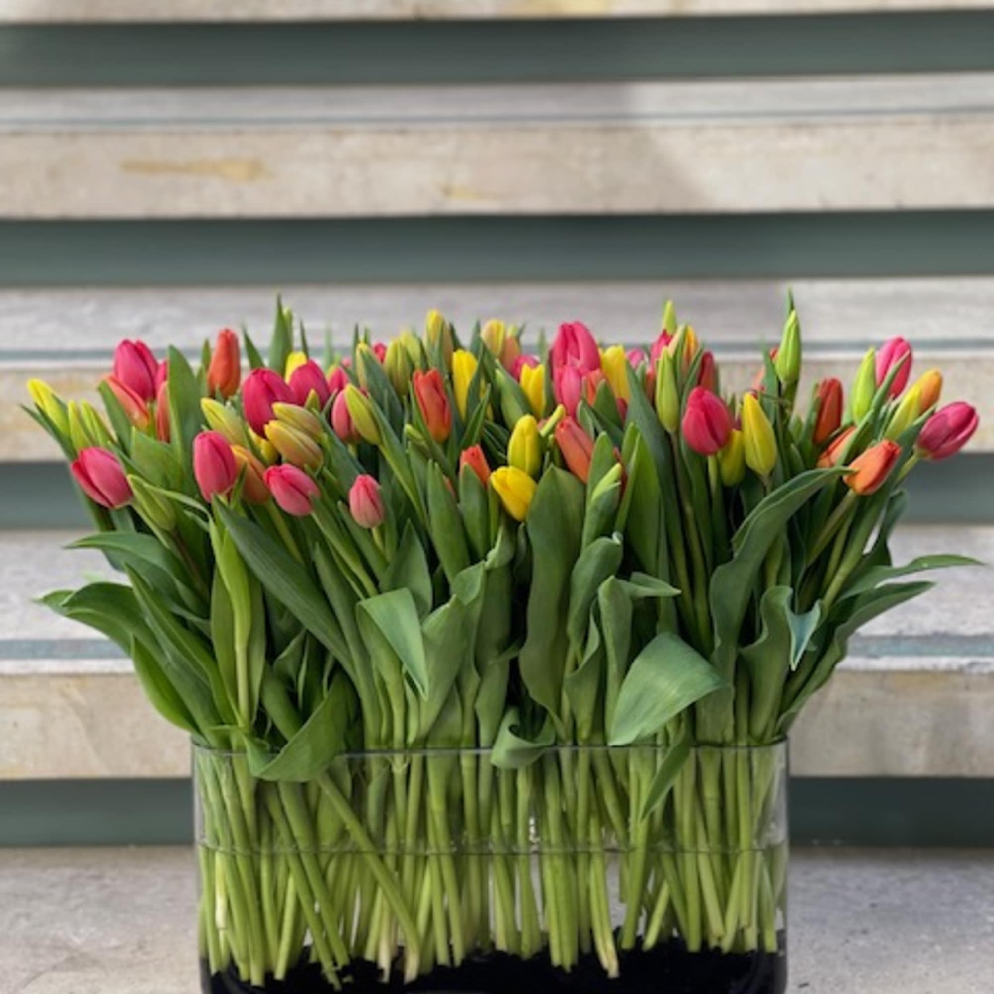 Mixed tulips in a rectangular glass vase