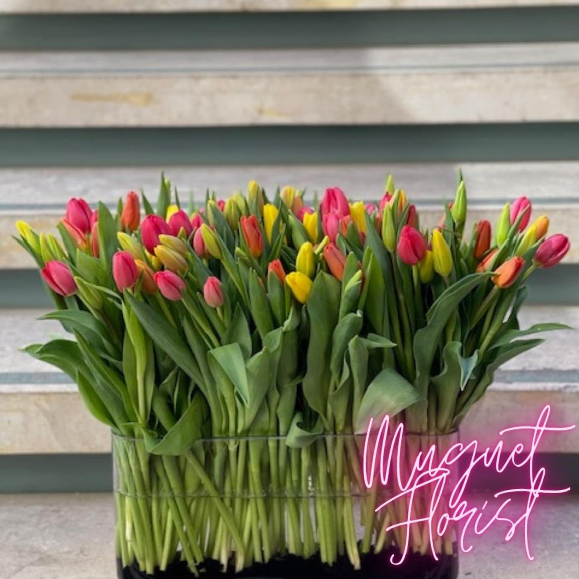 Bundle of multicolored tulips in a clear glass vase