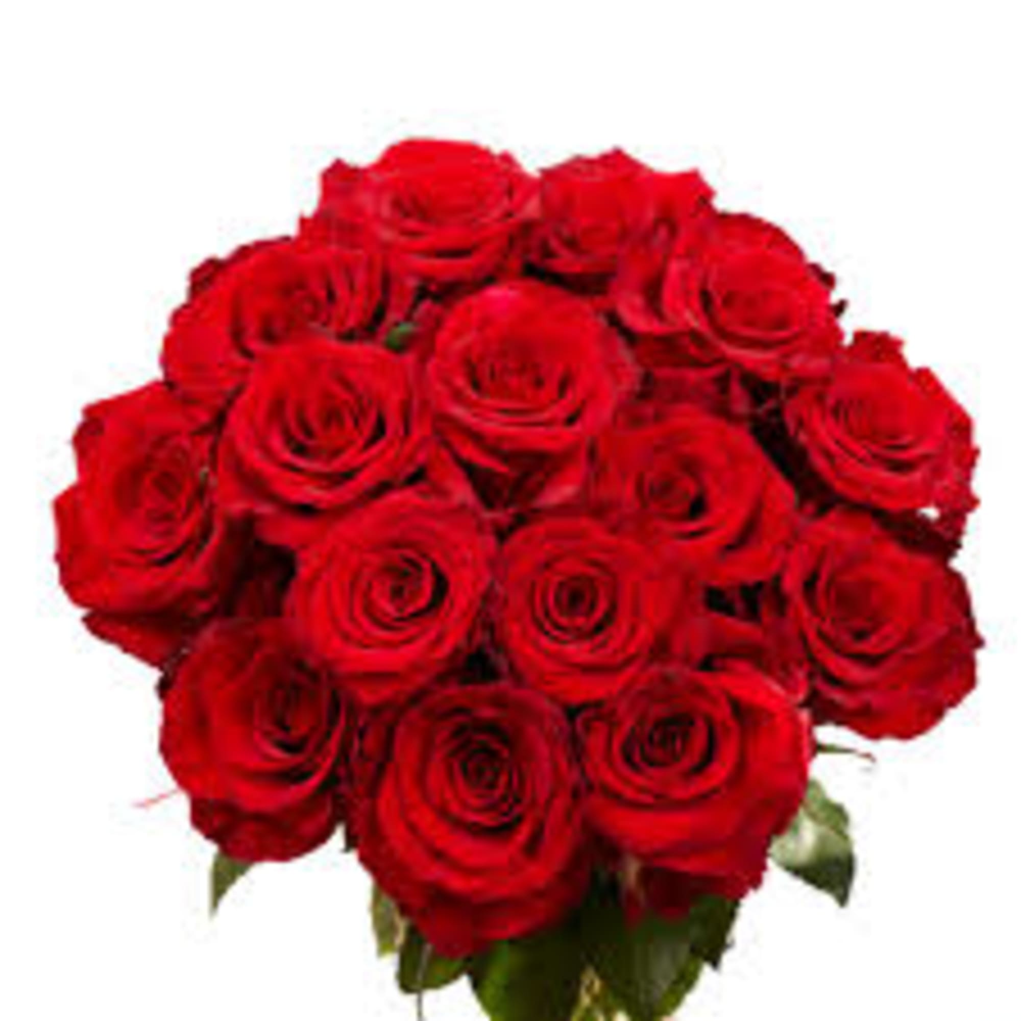Bouquet of red roses with green foliage