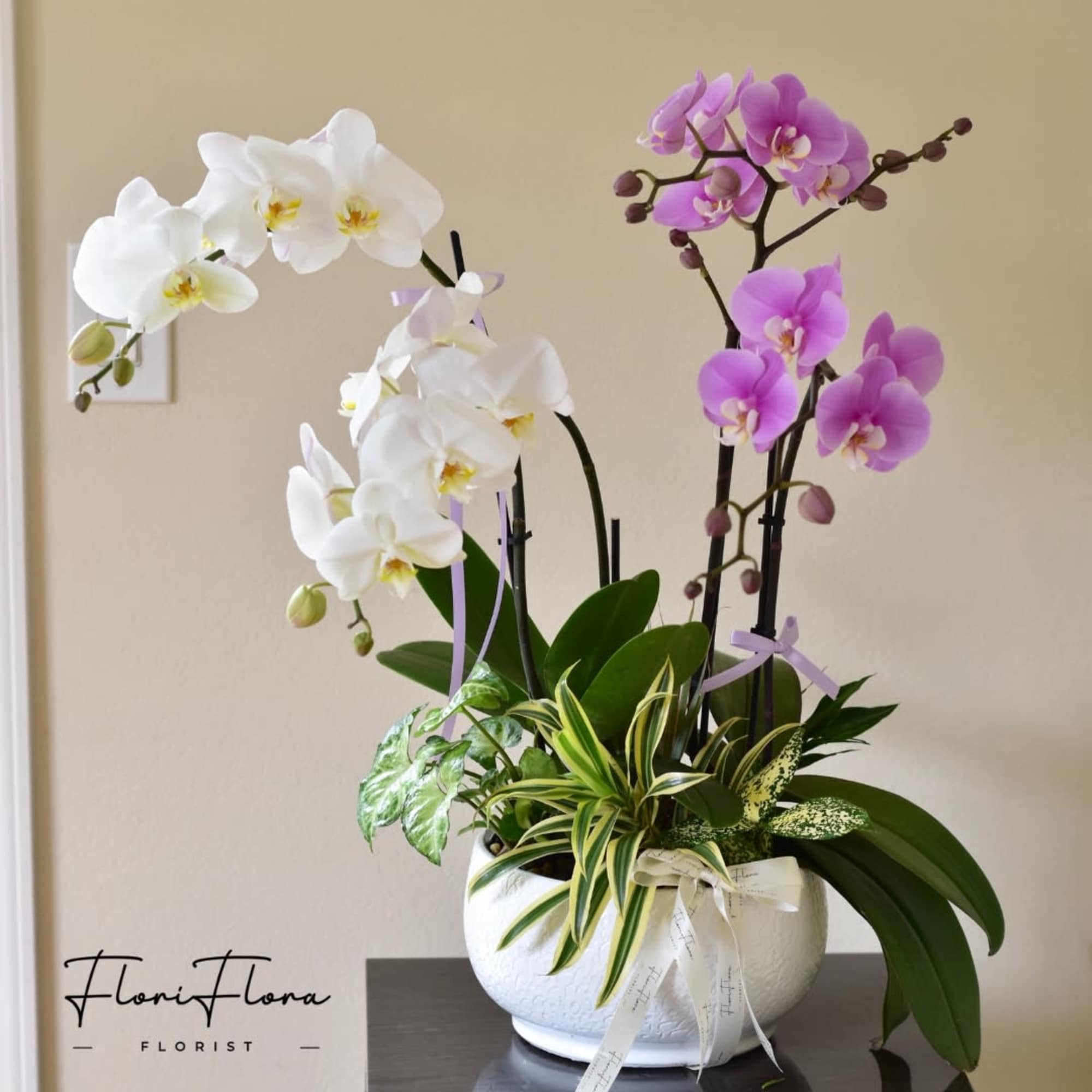 Delicate yet powerful, Blooming Fortune features a graceful pairing of white and