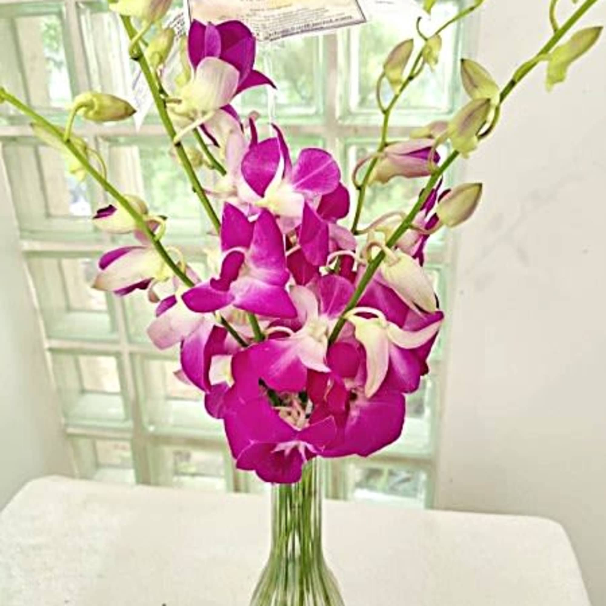 Purple and white orchids in a clear glass vase