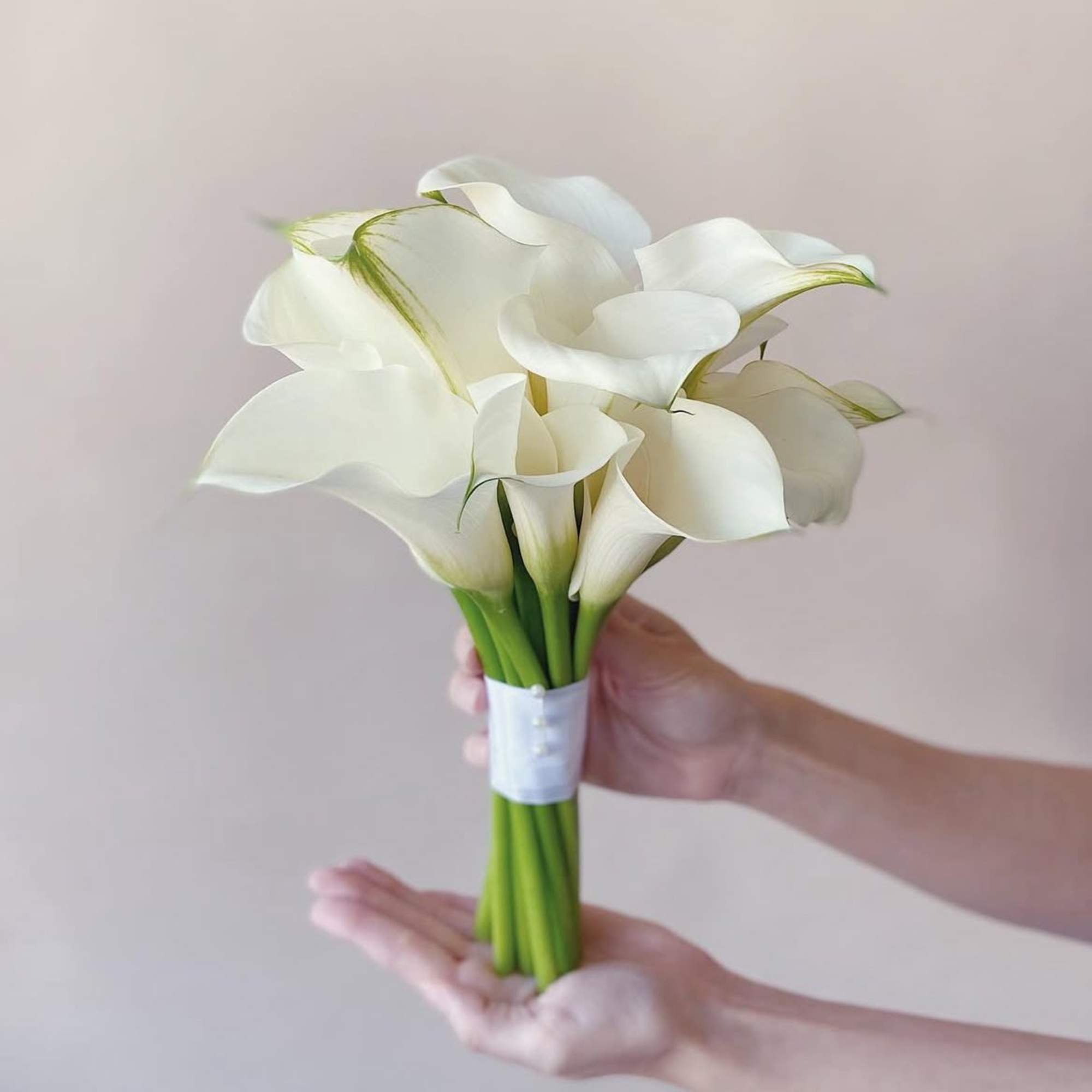 Bouquet of white calla lilies tied with a white band