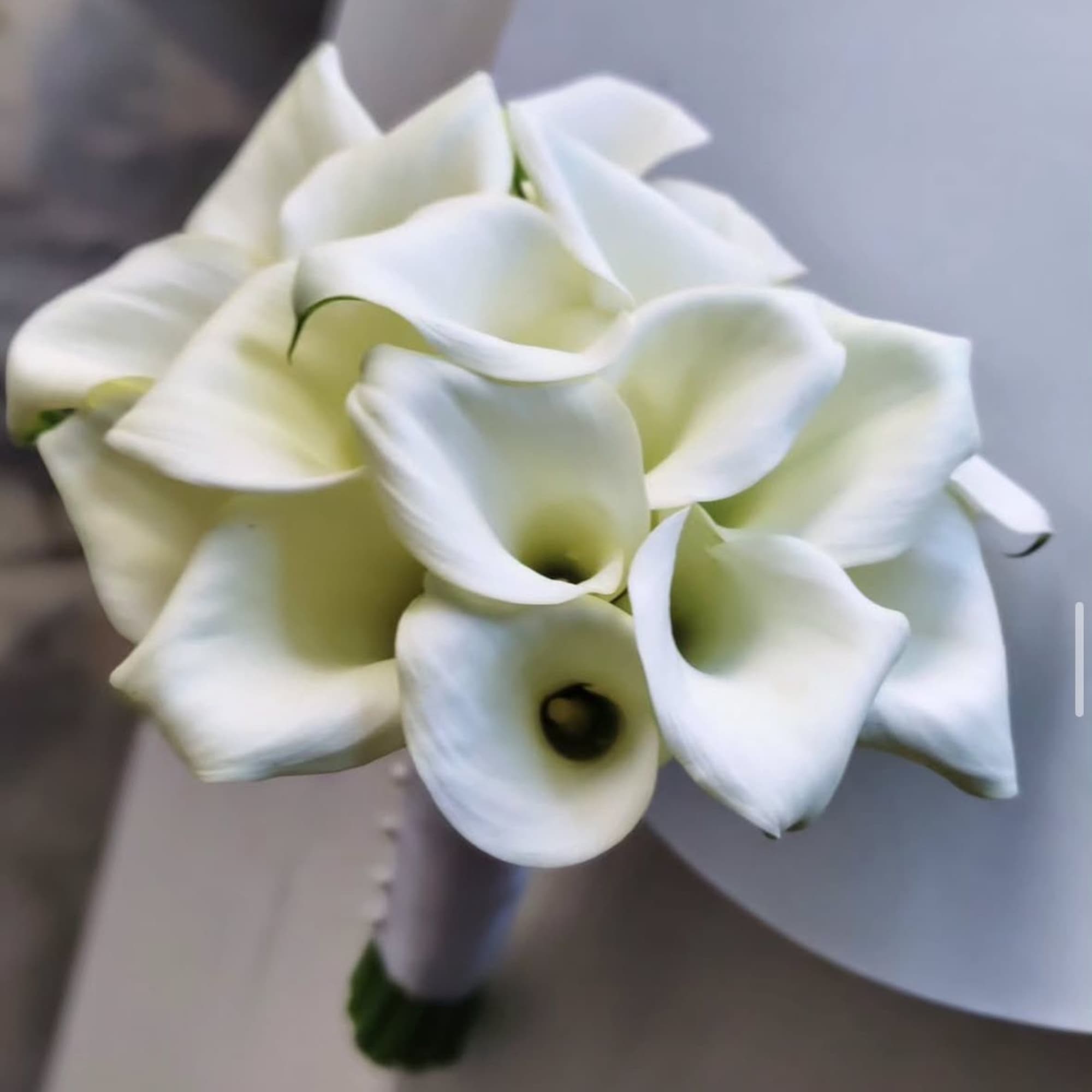 White calla lily bouquet with wrapped stems