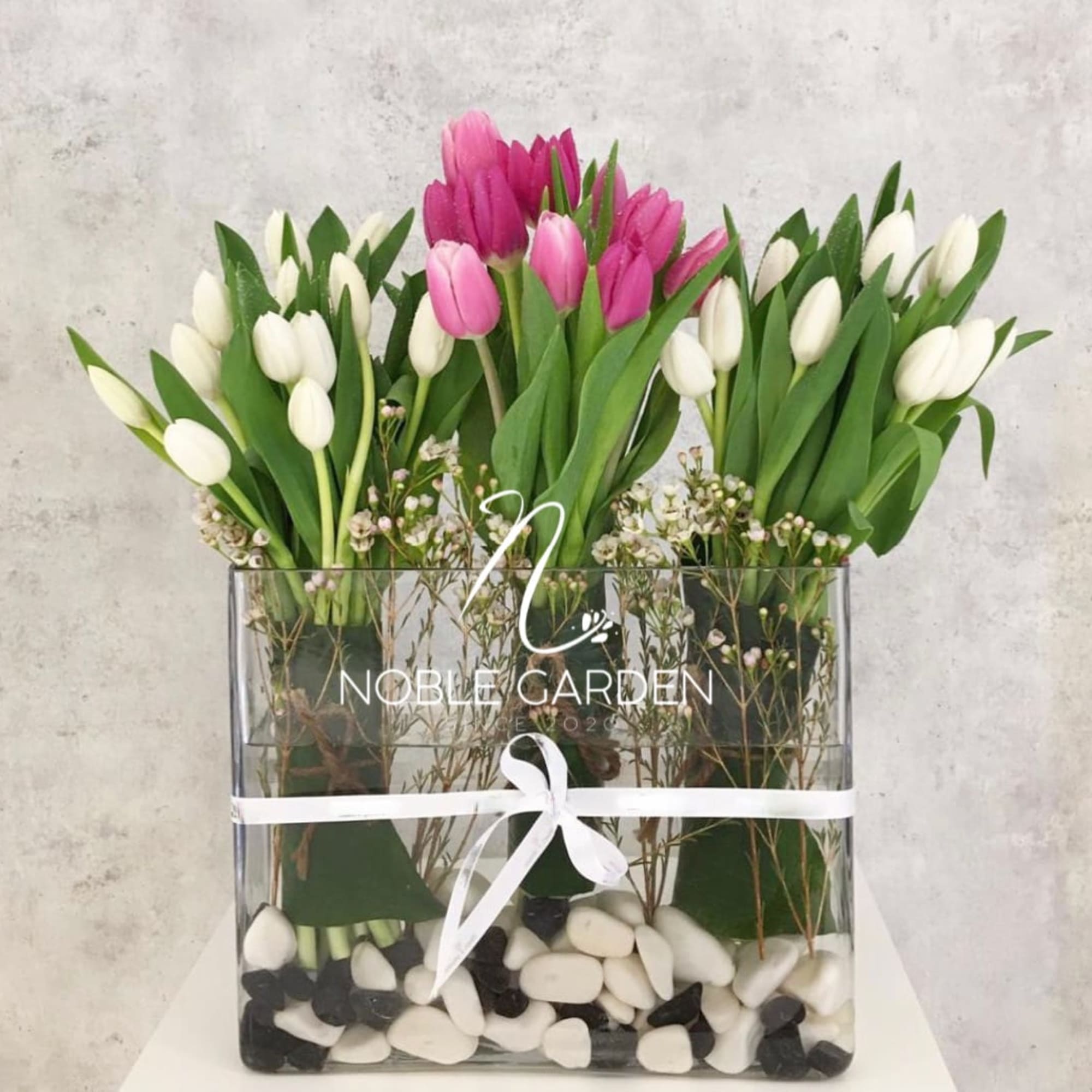 Pink and white tulips arranged in a clear square vase with ribbon