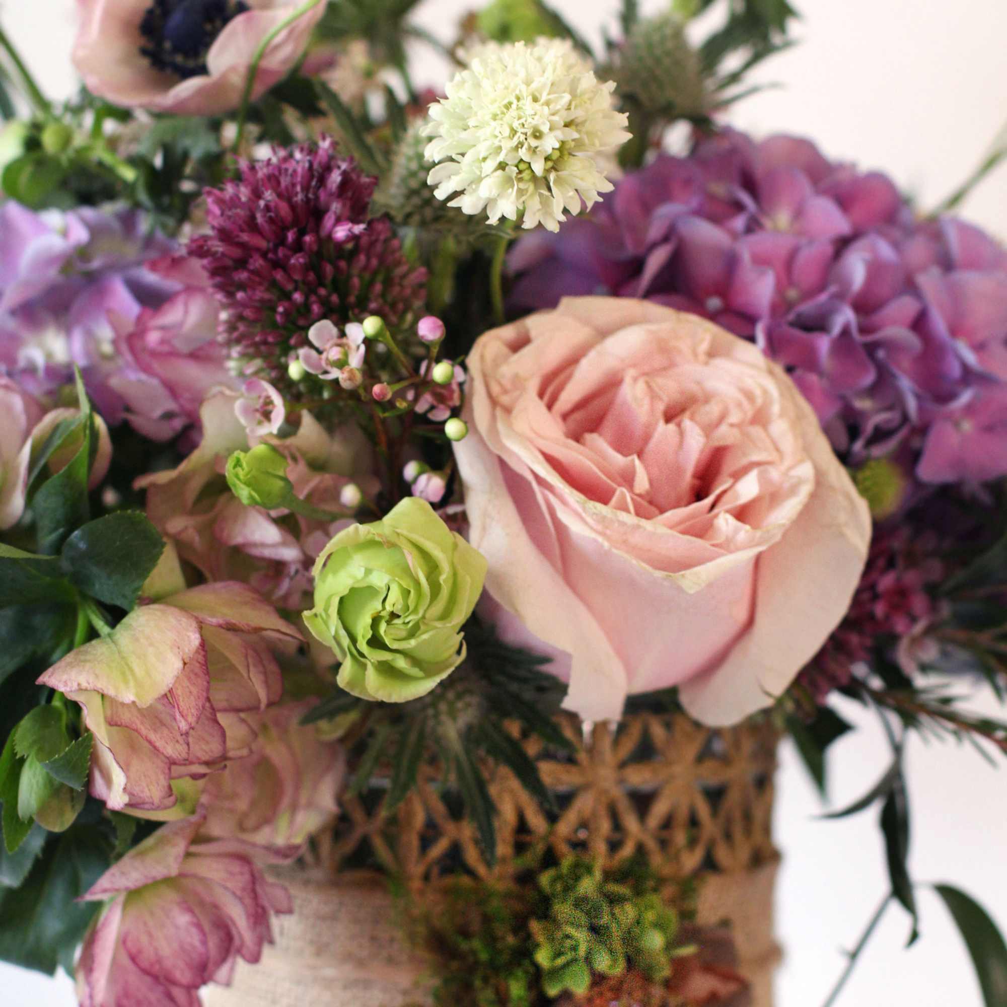 Different shade of purple, lavender, blush to creme assorted special pick bloom, photo 3 of 3