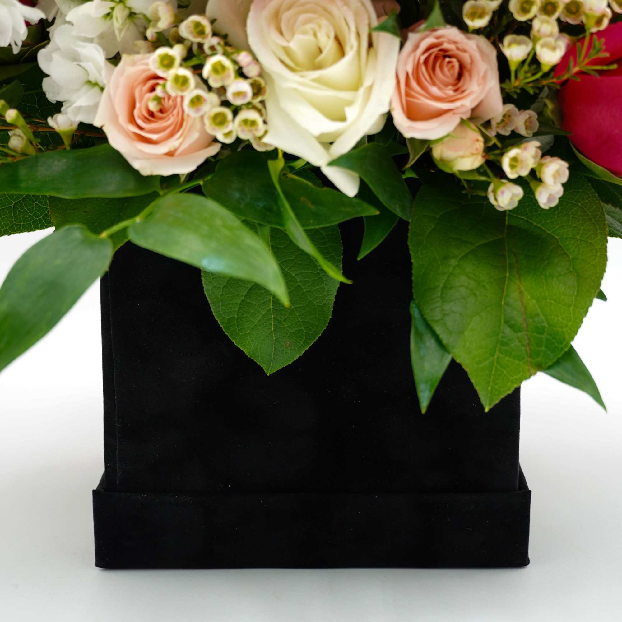 Pink and white roses arranged in a black box