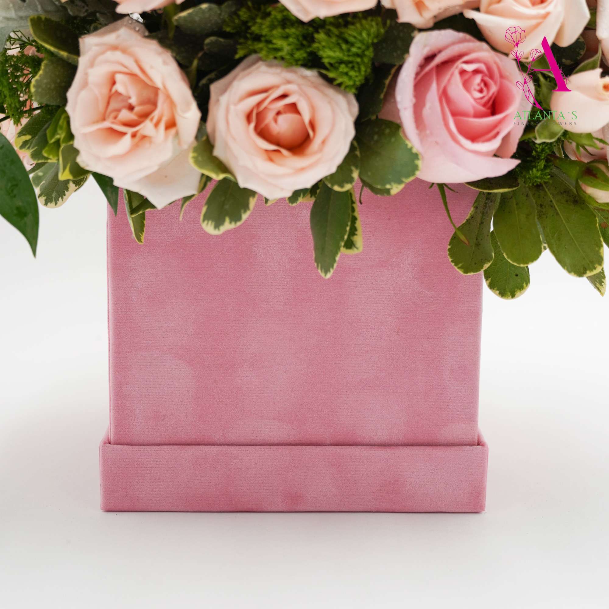 Pale pink roses and soft white stock spill from a plush square, photo 2 of 2