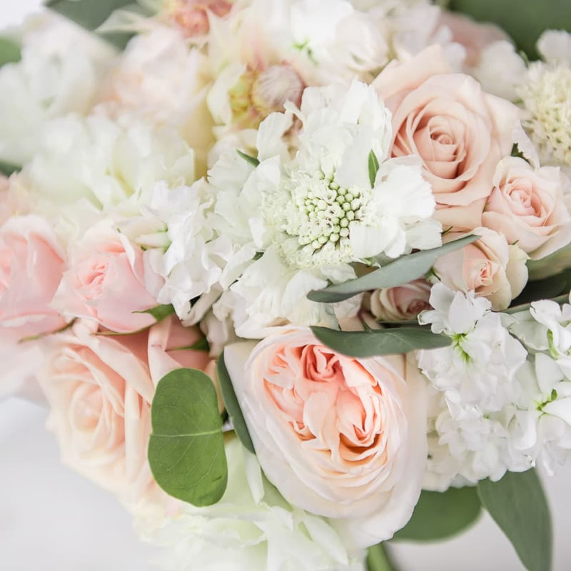 Blush roses and white flowers in a soft bouquet