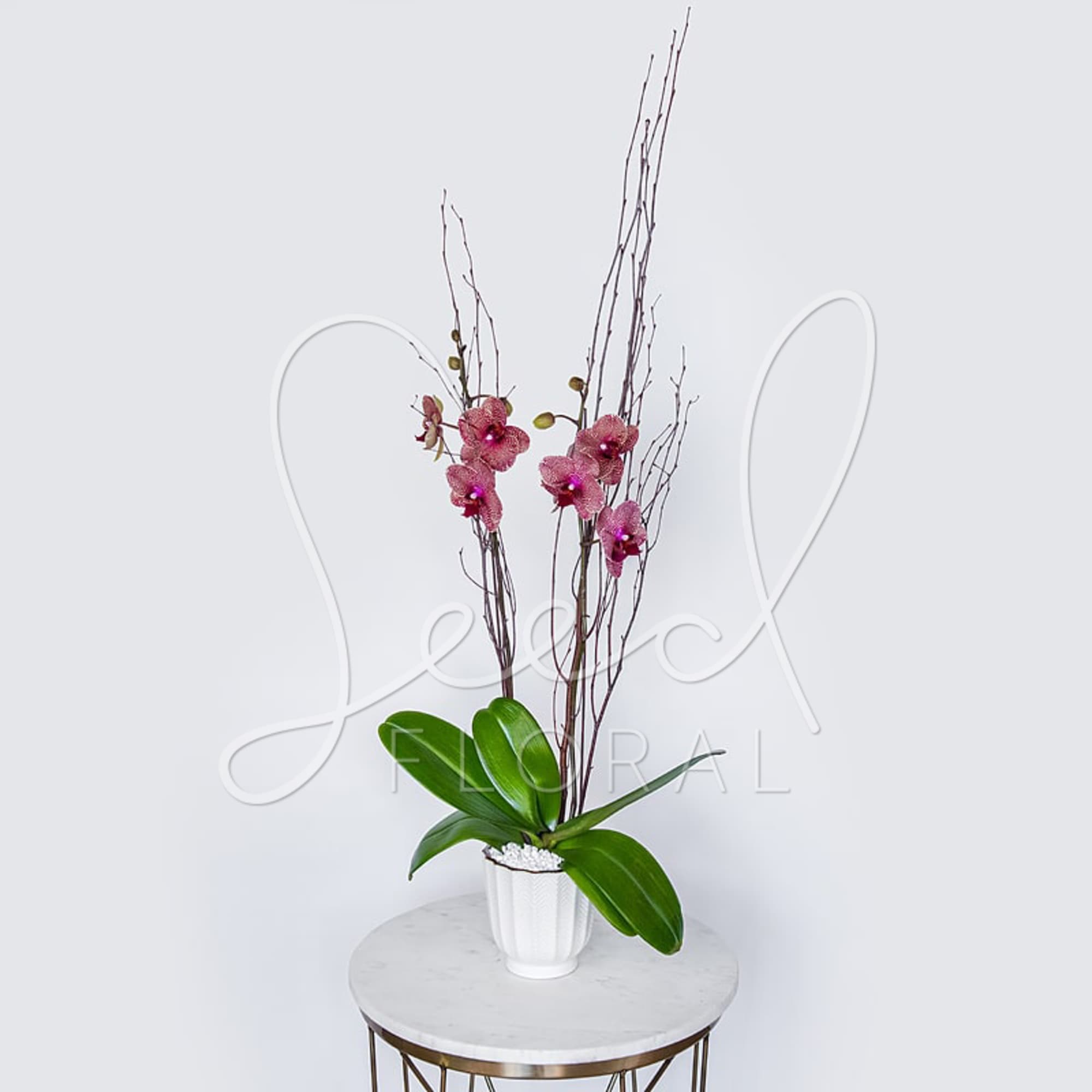 Pink orchids in a white pot with tall twig accents