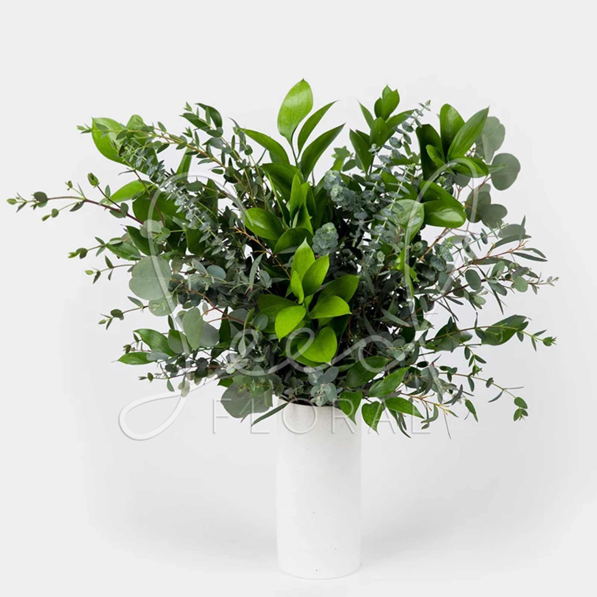 A little green peace of mind we designed with the wildest greens