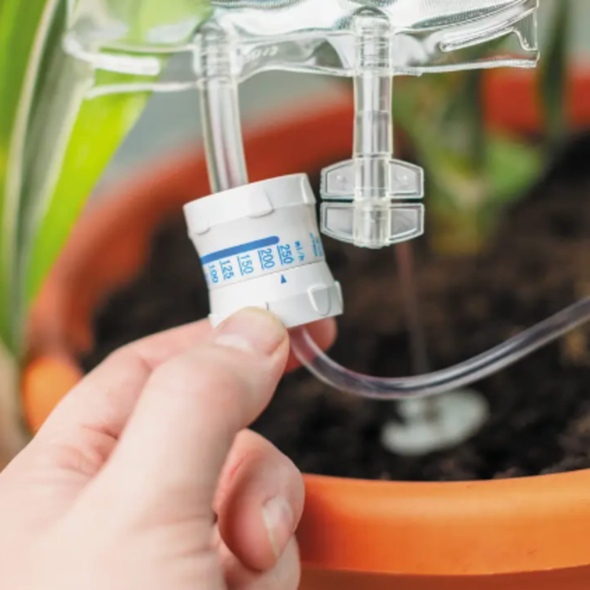 Hand adjusting a clear drip irrigation line in an orange pot