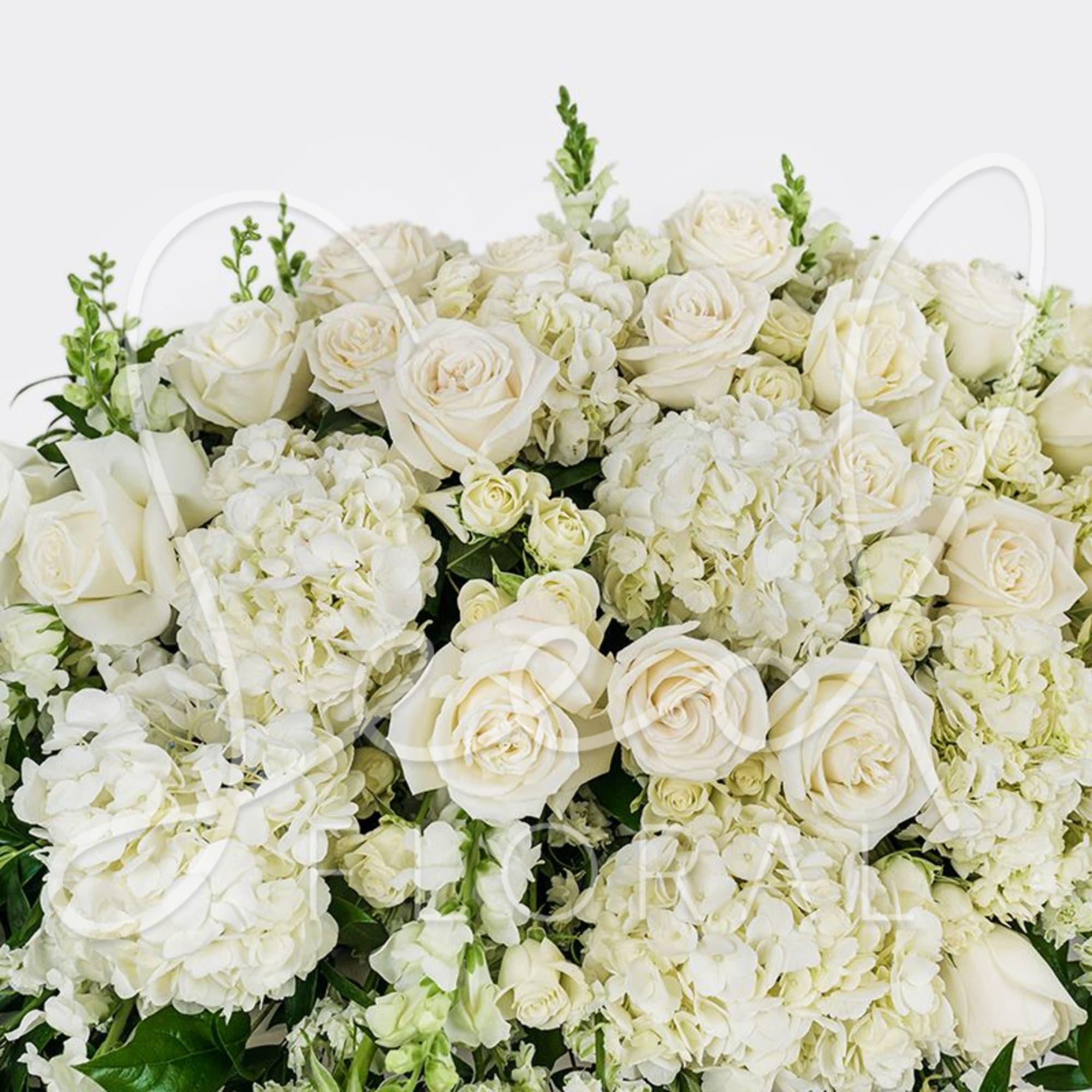 White roses and hydrangeas arranged in a dense bouquet.