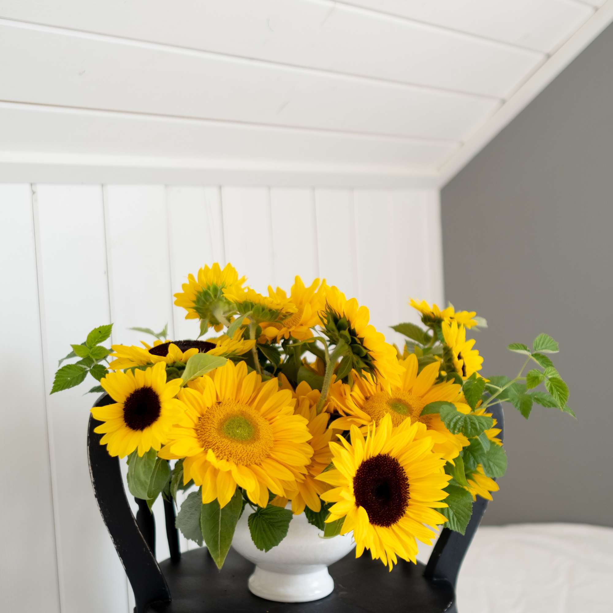Bouquet of yellow sunflowers in a white vase