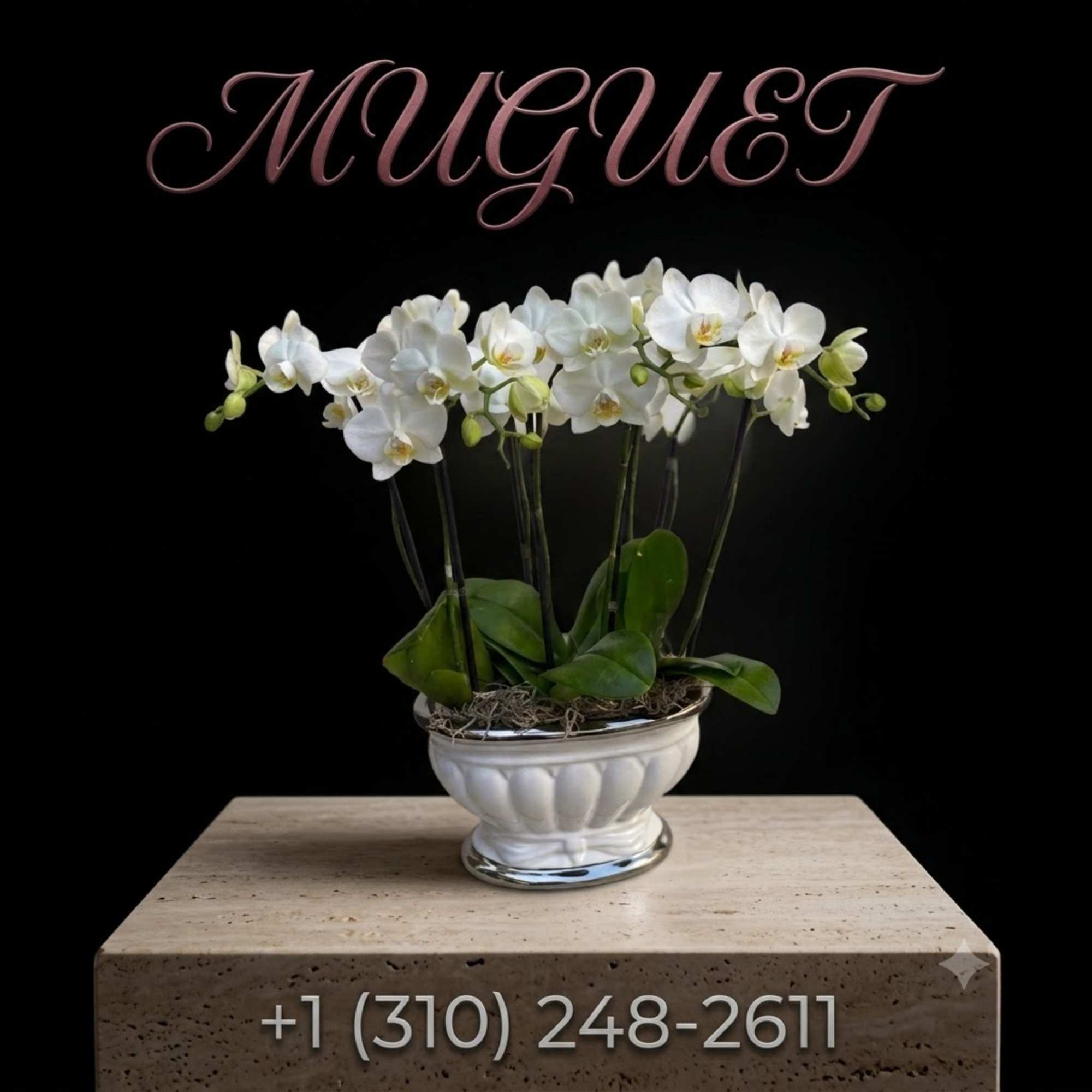 White orchid plant in a white ceramic bowl on a pedestal