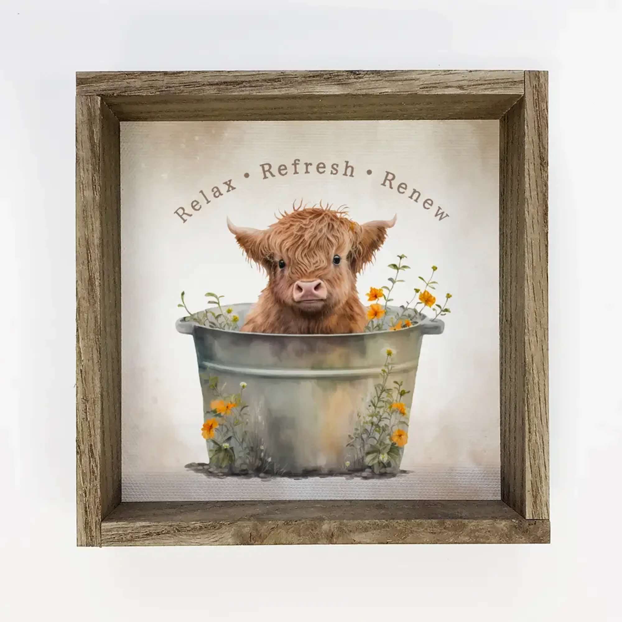 This 11" x 11" loveable highland calf picture will add charm to