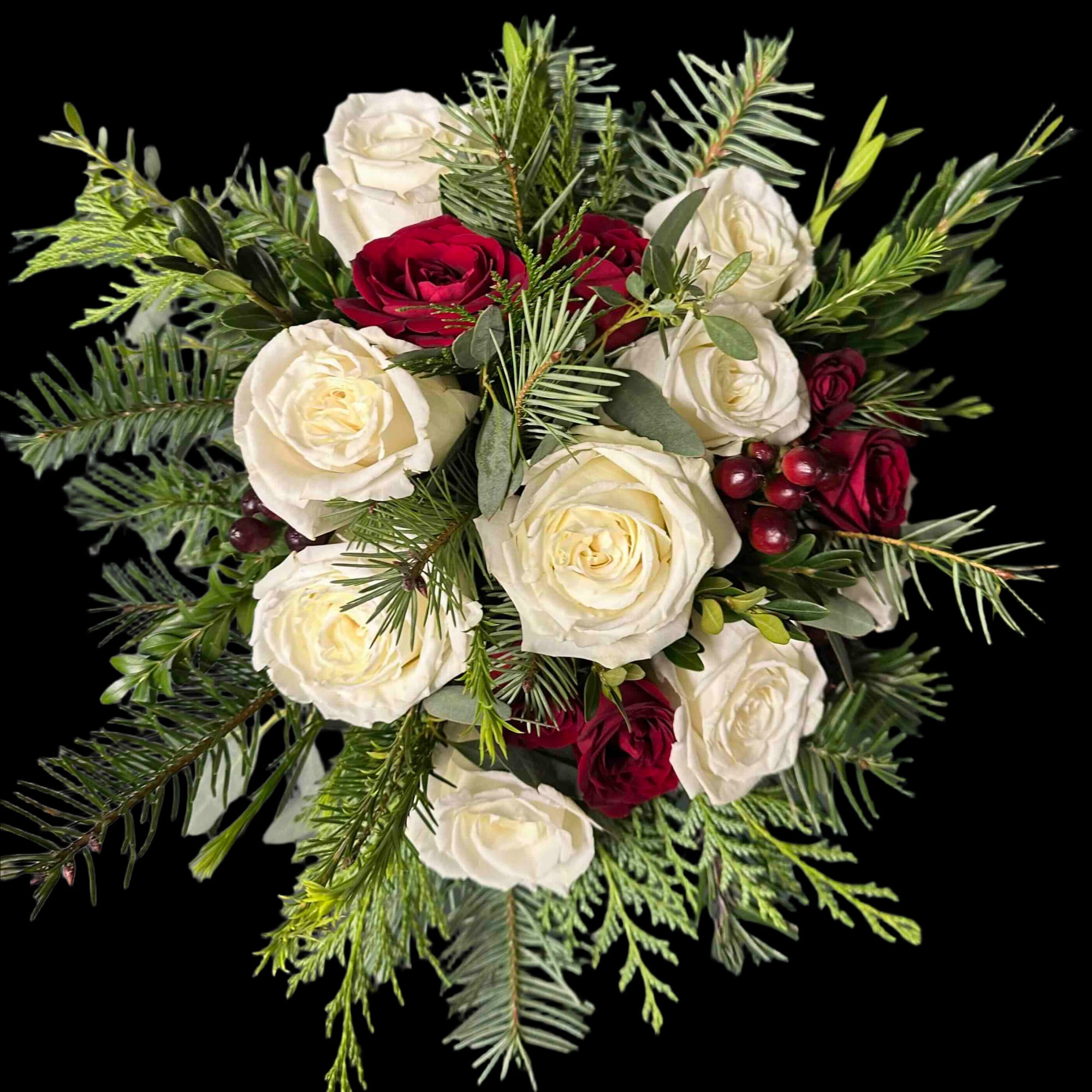 Winter Greens set the tone for this gorgeous red and white rose, photo 2 of 2
