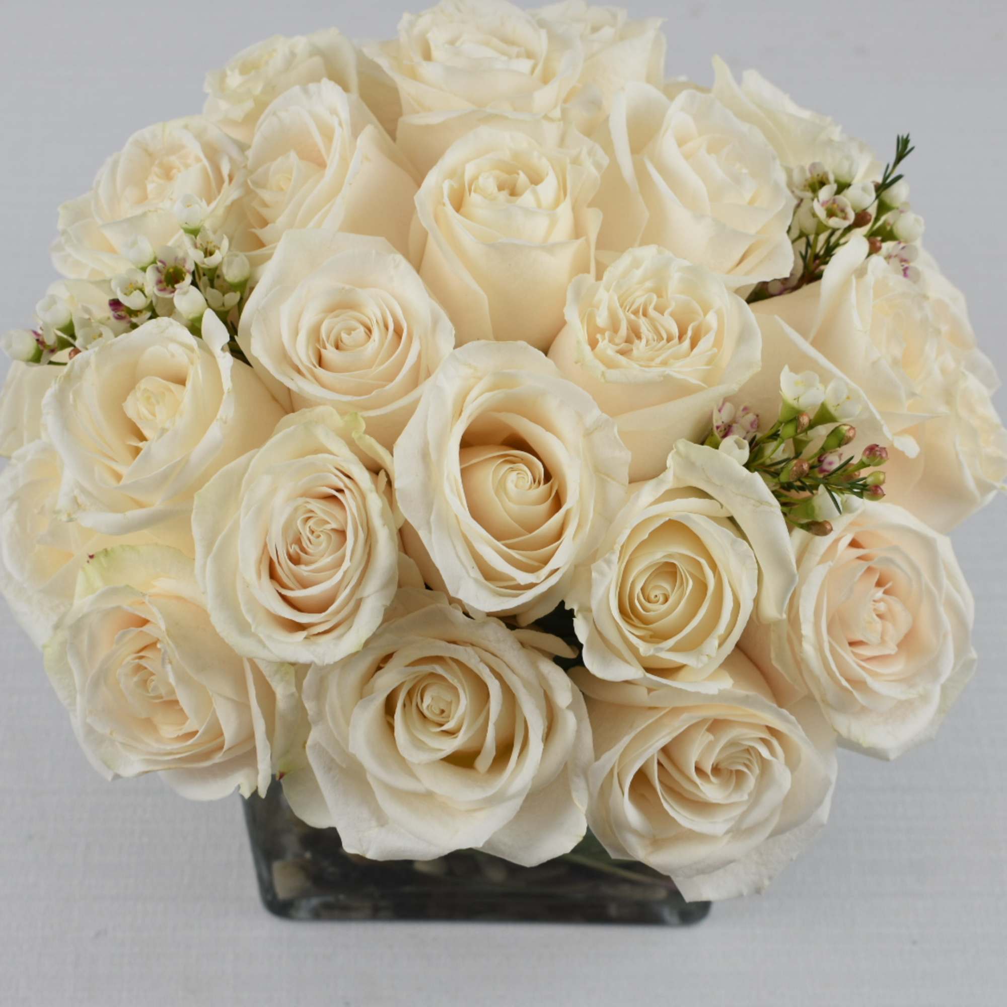 Compact arrangement of cream roses in a clear glass cube vase