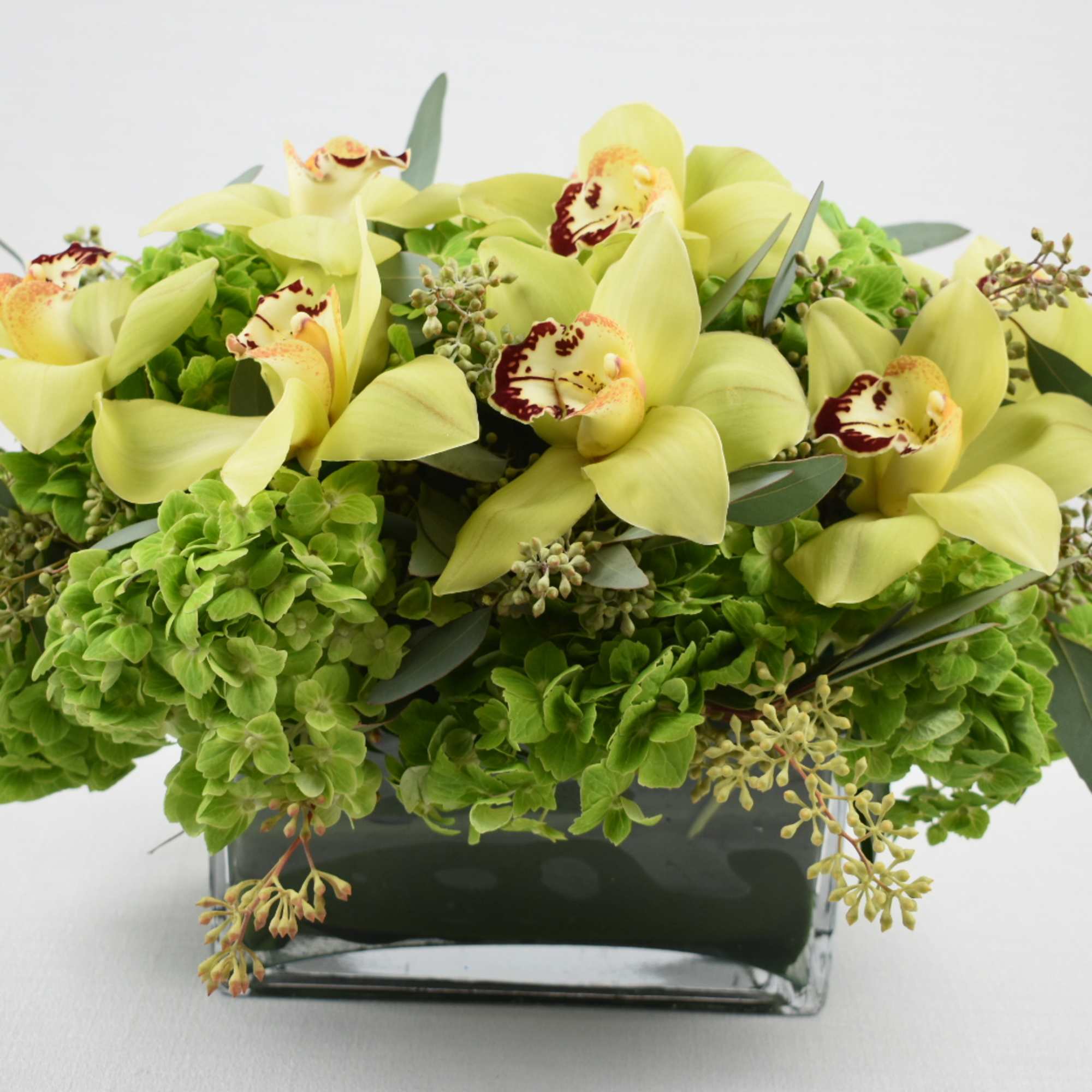 For all those lover of the green color 
here is the perfect
