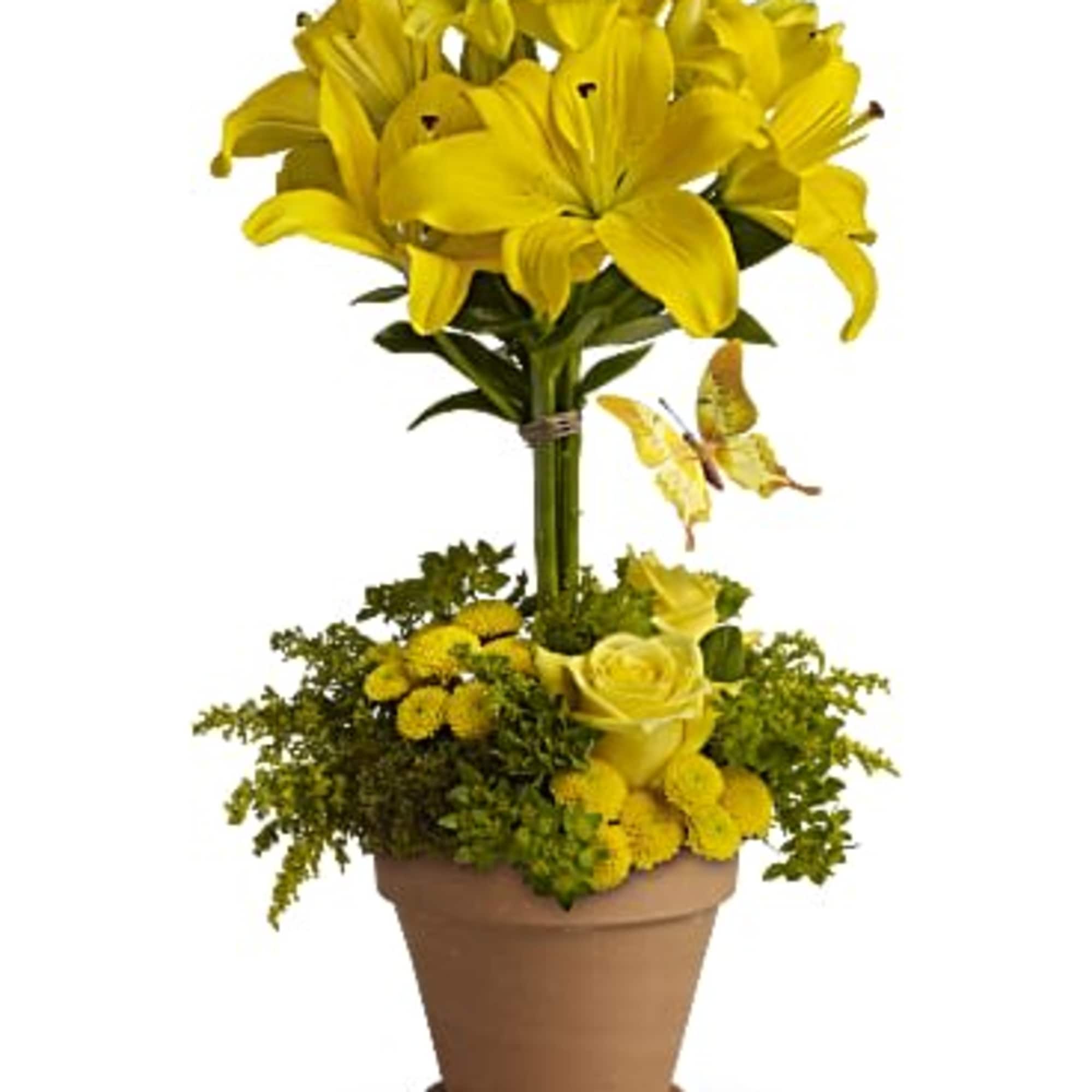  Bright  lilies are uniquely arranged into a topiary and grounded
