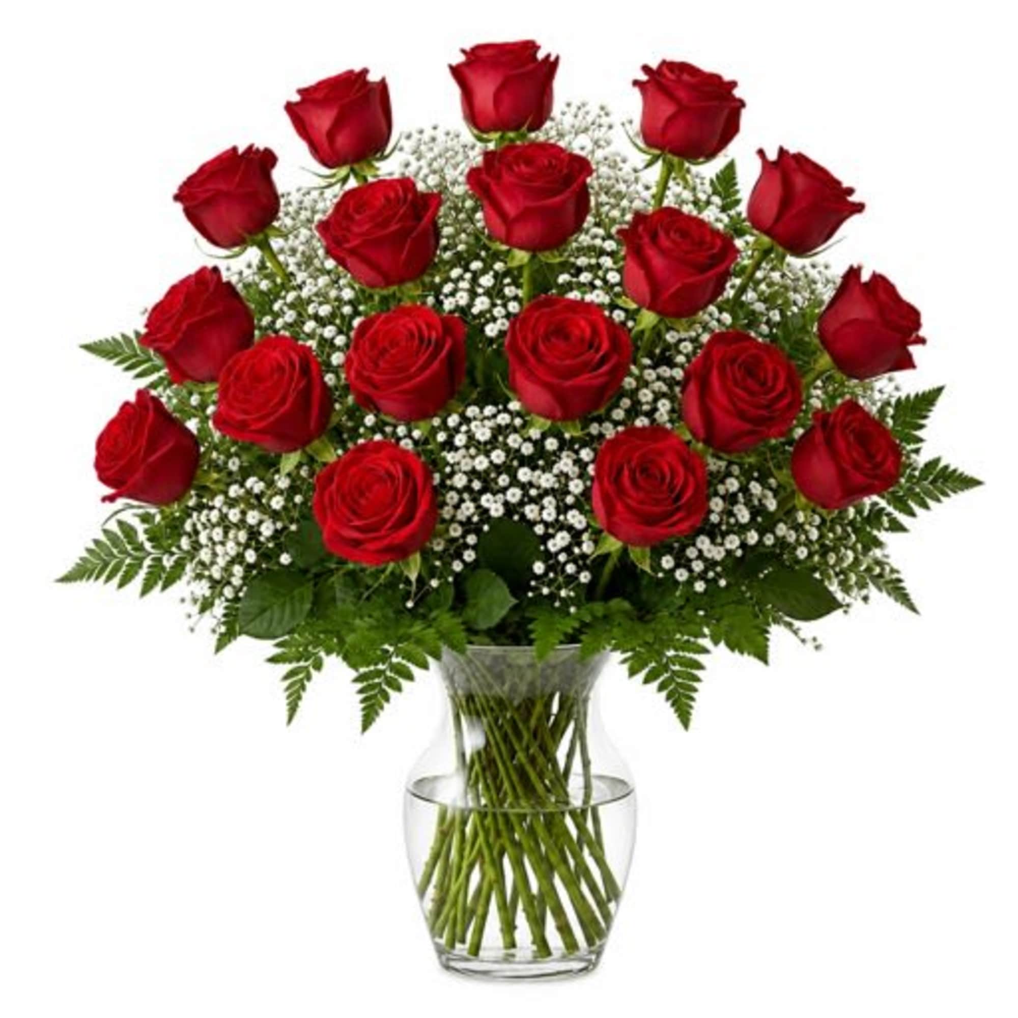Deep red roses rise in a rounded, classic dome above a cloud