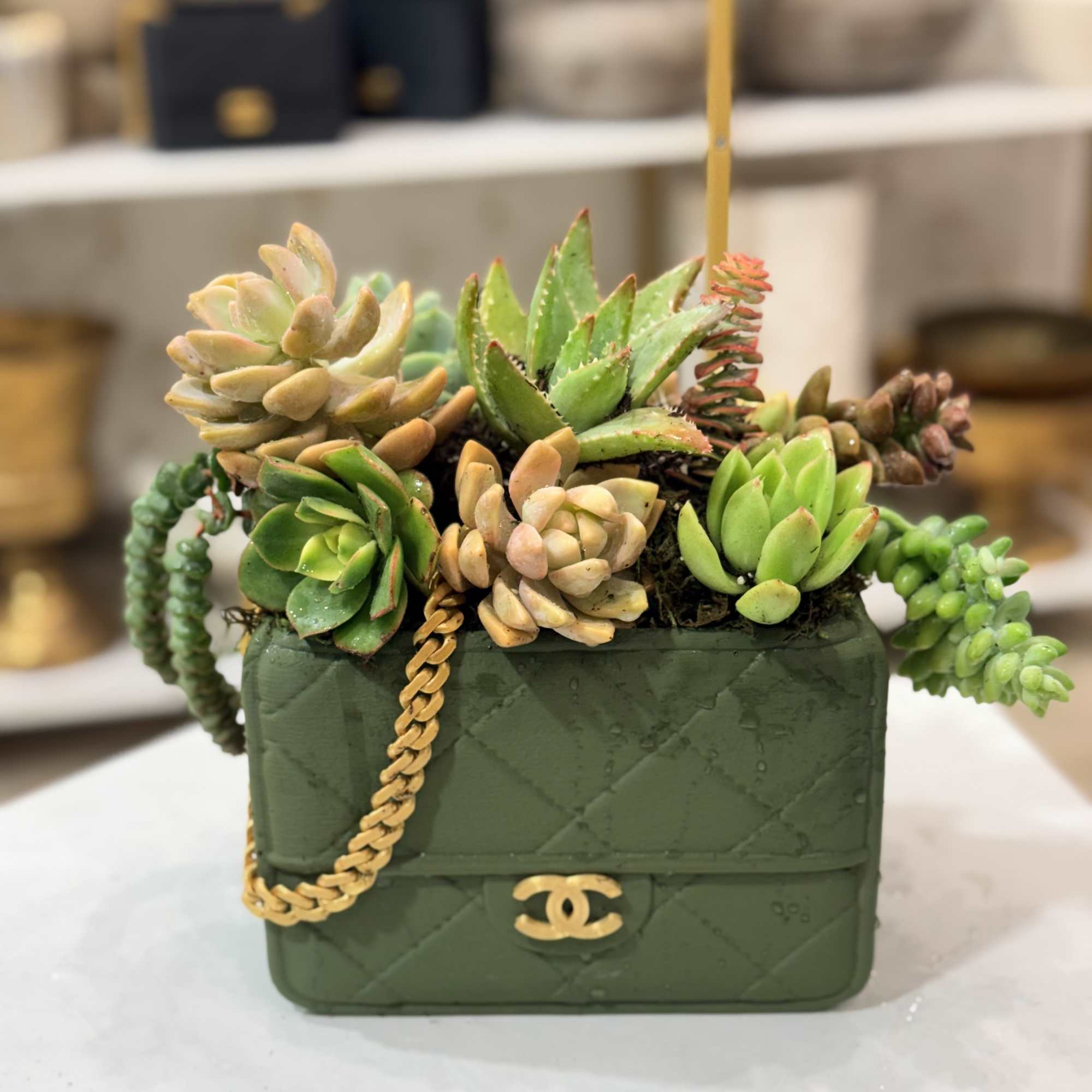 Succulent arrangement in a green handbag-shaped container with a gold chain