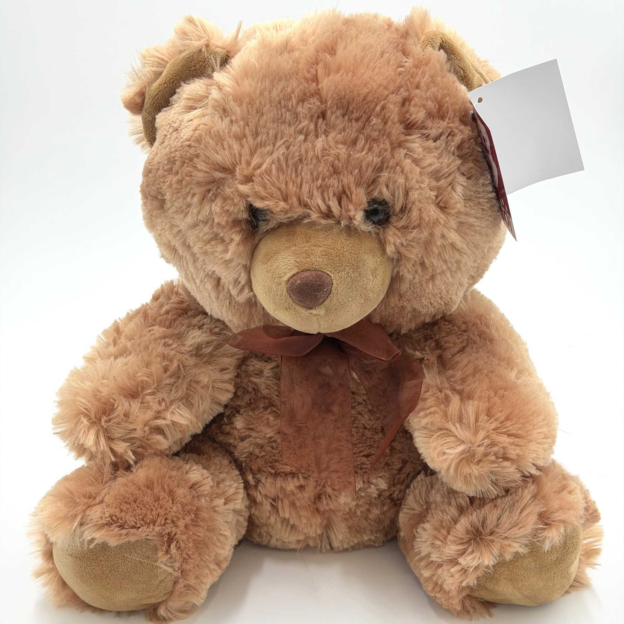 This adorable  plush teddy bear is the perfect snuggle companion with