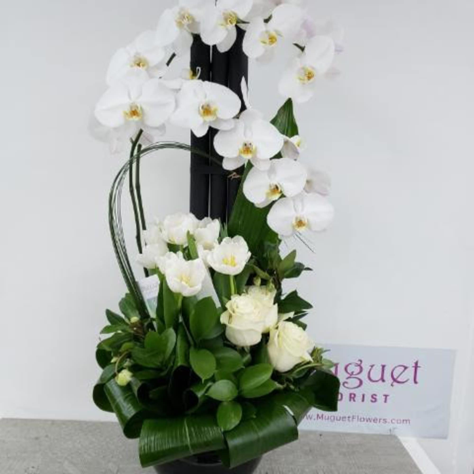 White orchids arranged in a black vase with green foliage