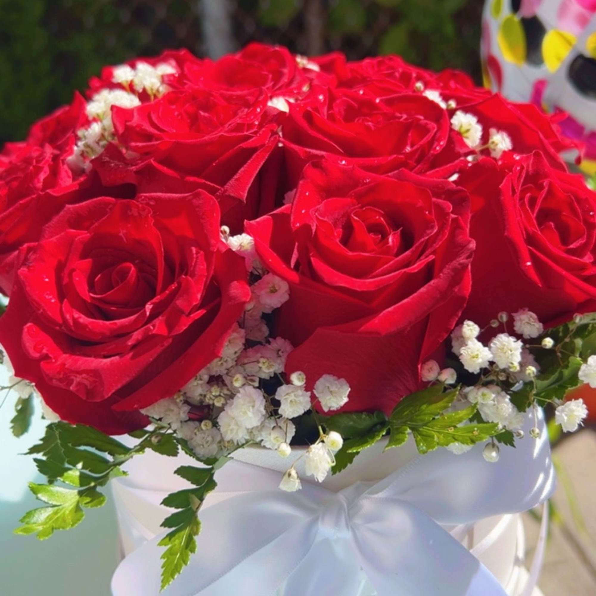 Red roses arranged in a white hat box with baby's breath and a white ribbon