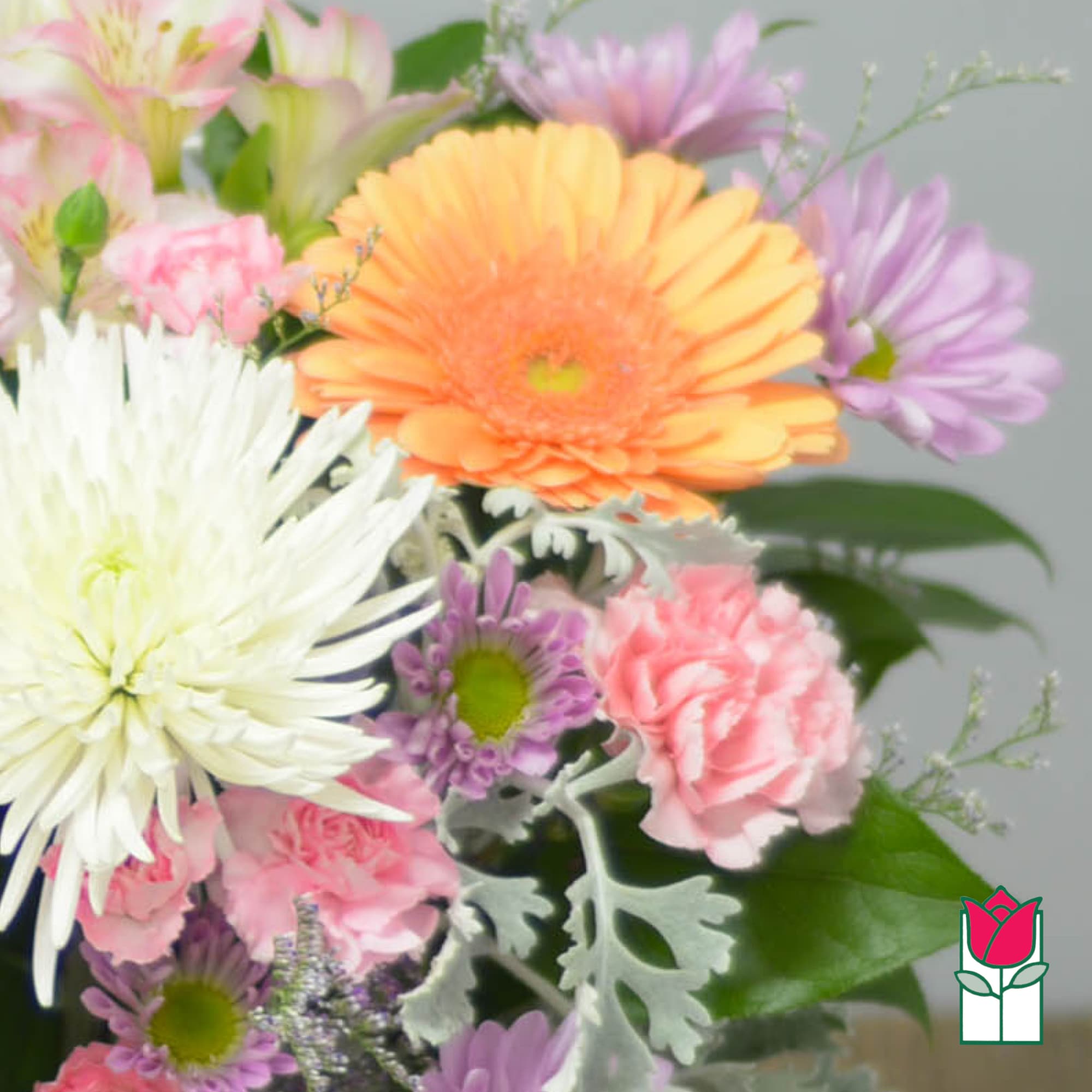Mixed bouquet with gerbera daisies and carnations in pink, white, and lavender