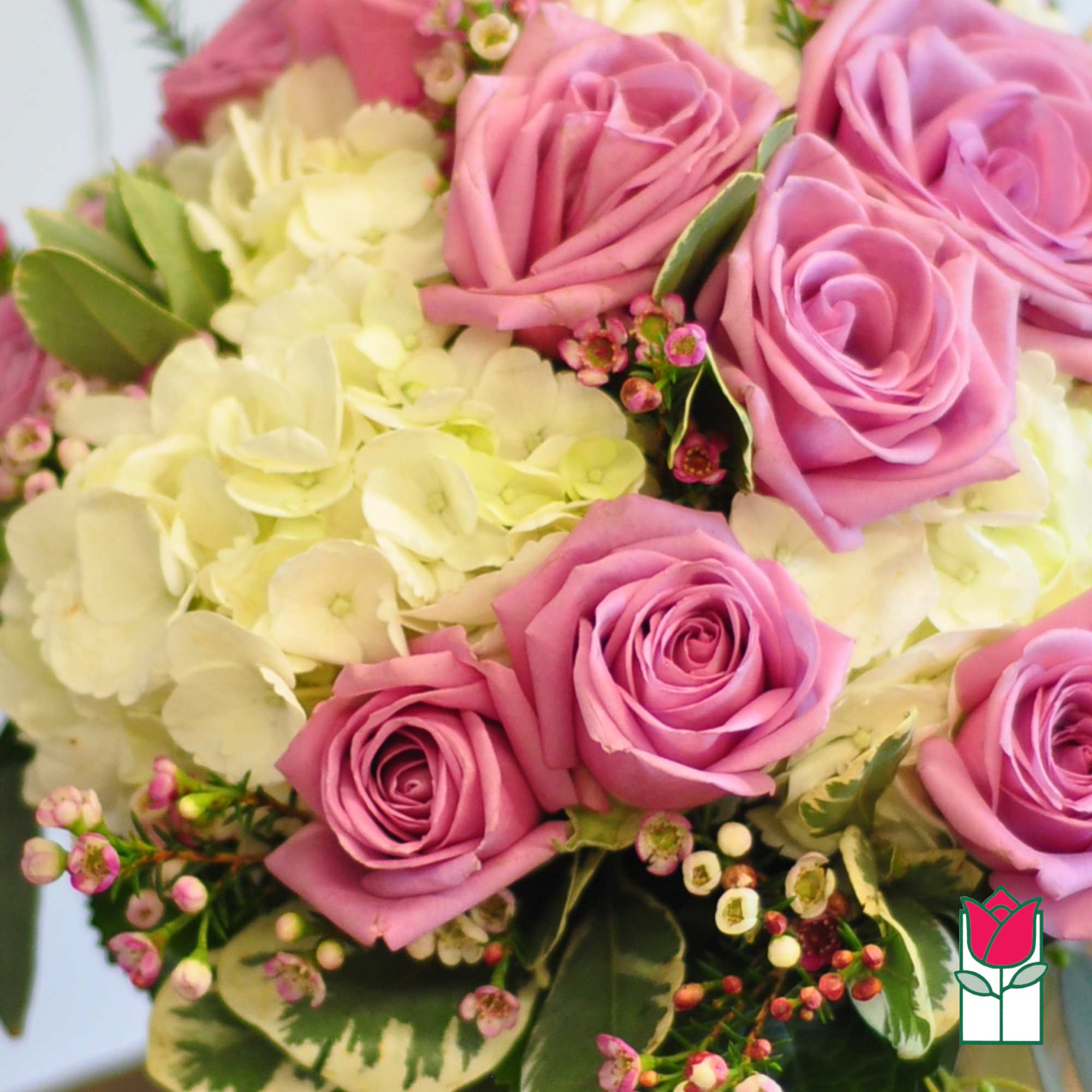 Pink roses and pale hydrangeas in a bouquet