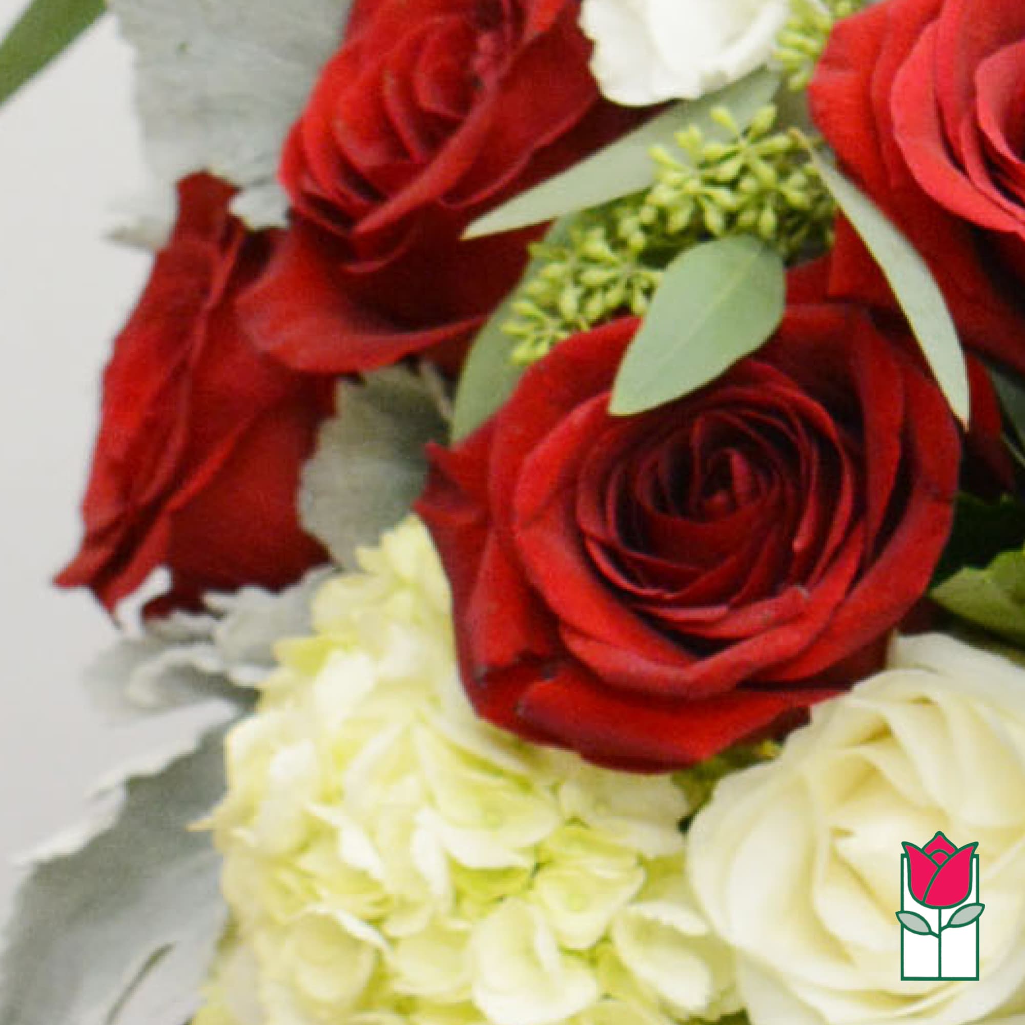 Bouquet of red and white roses with pale green accents