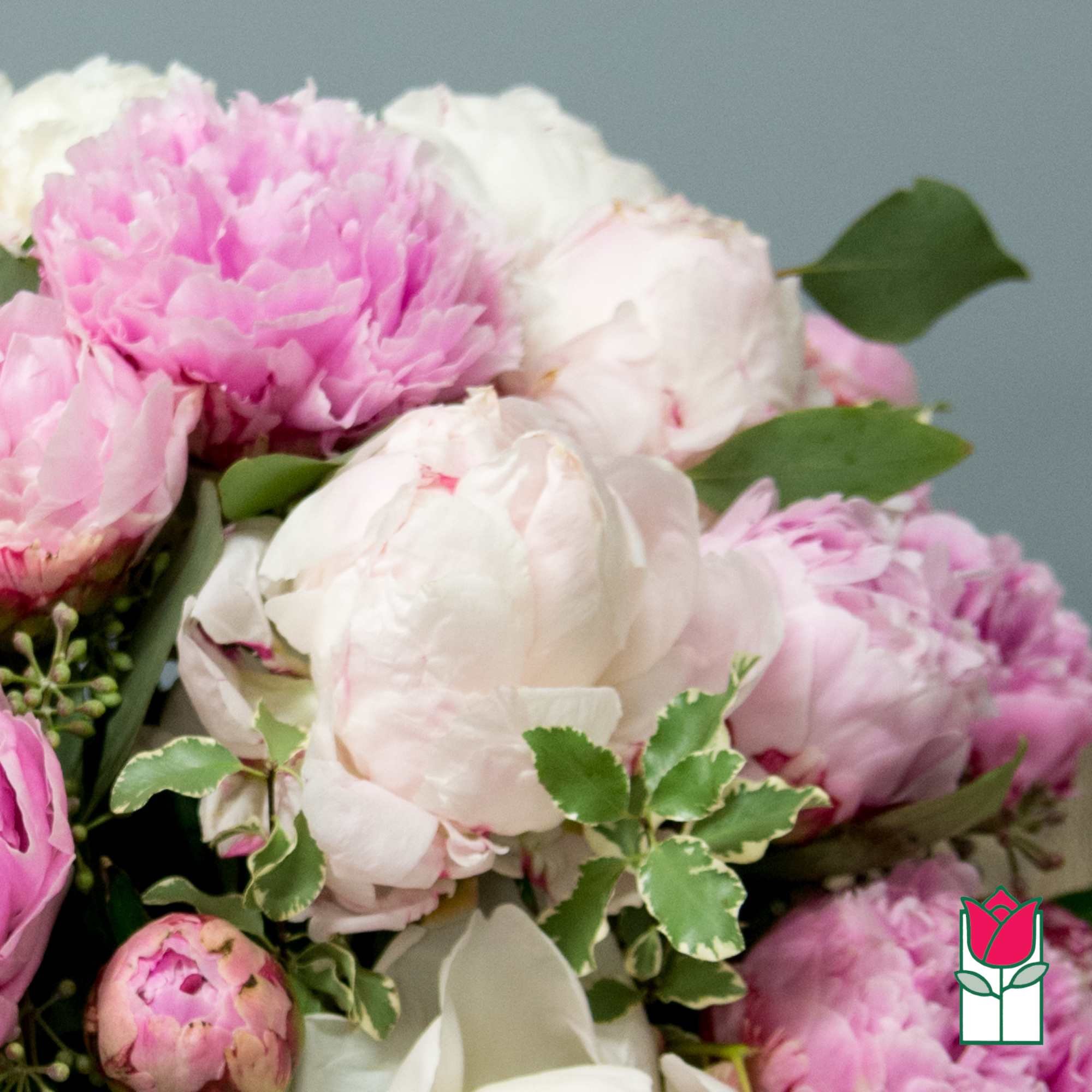 Pink and white peonies arranged in a bouquet.