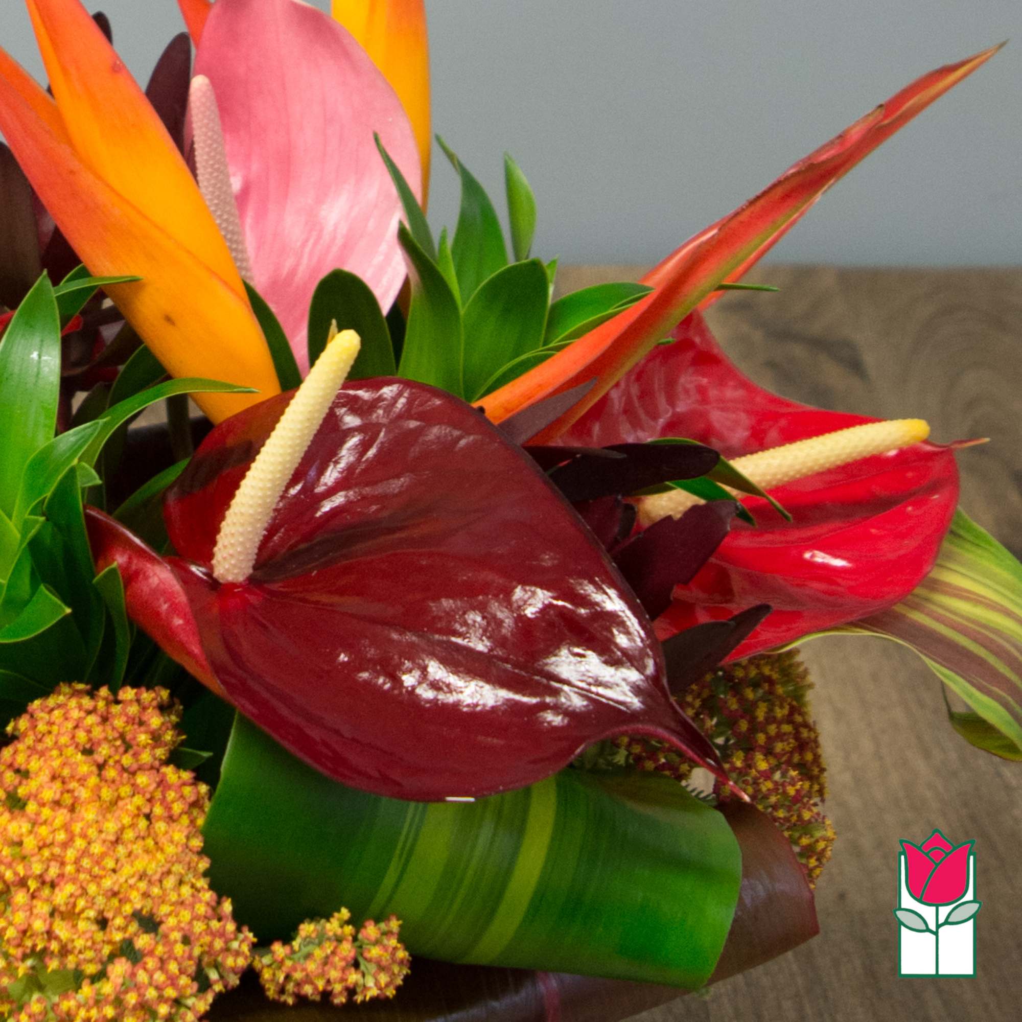 Tropical bouquet with red anthuriums and orange bird of paradise flowers