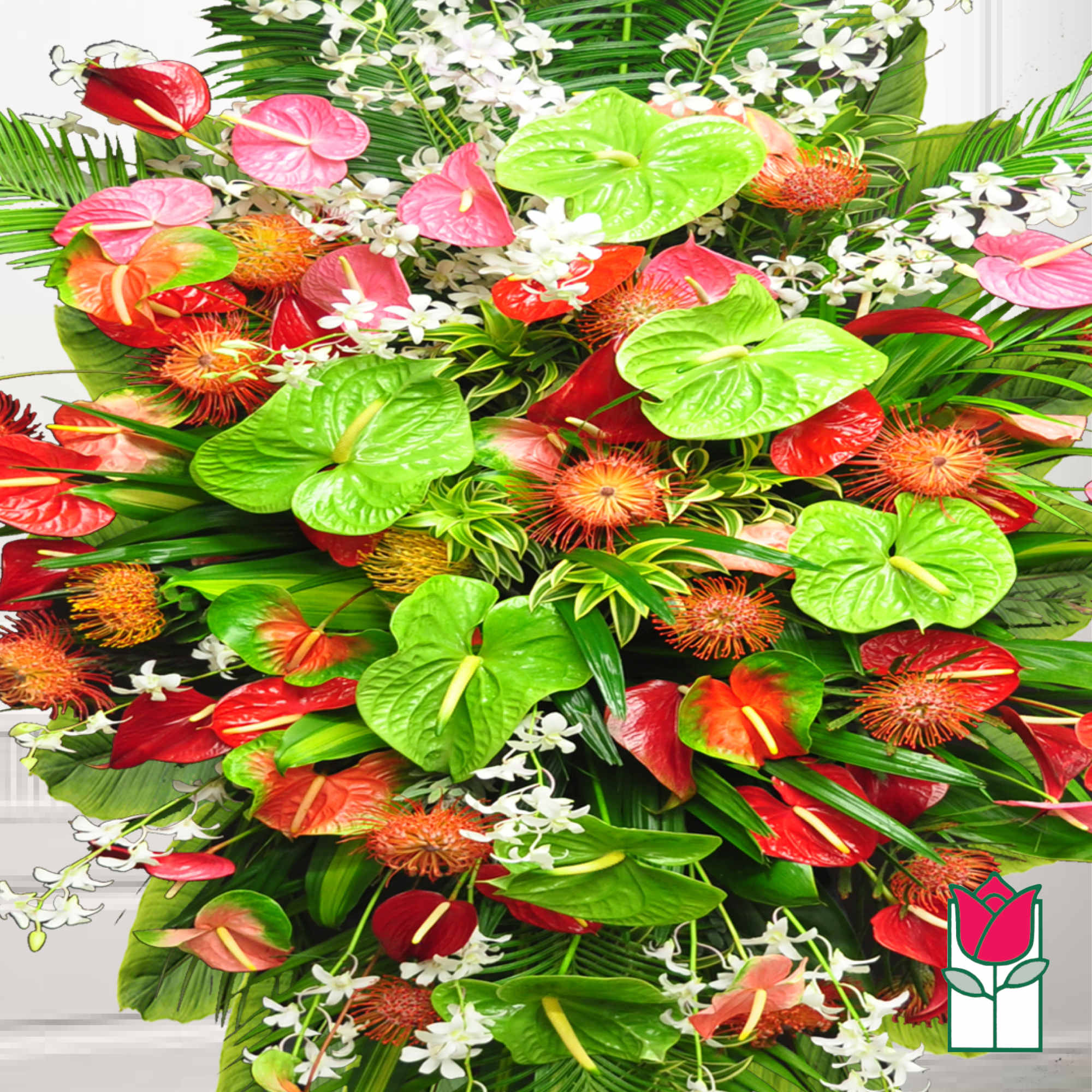 Tropical bouquet with red and green anthuriums and white orchids