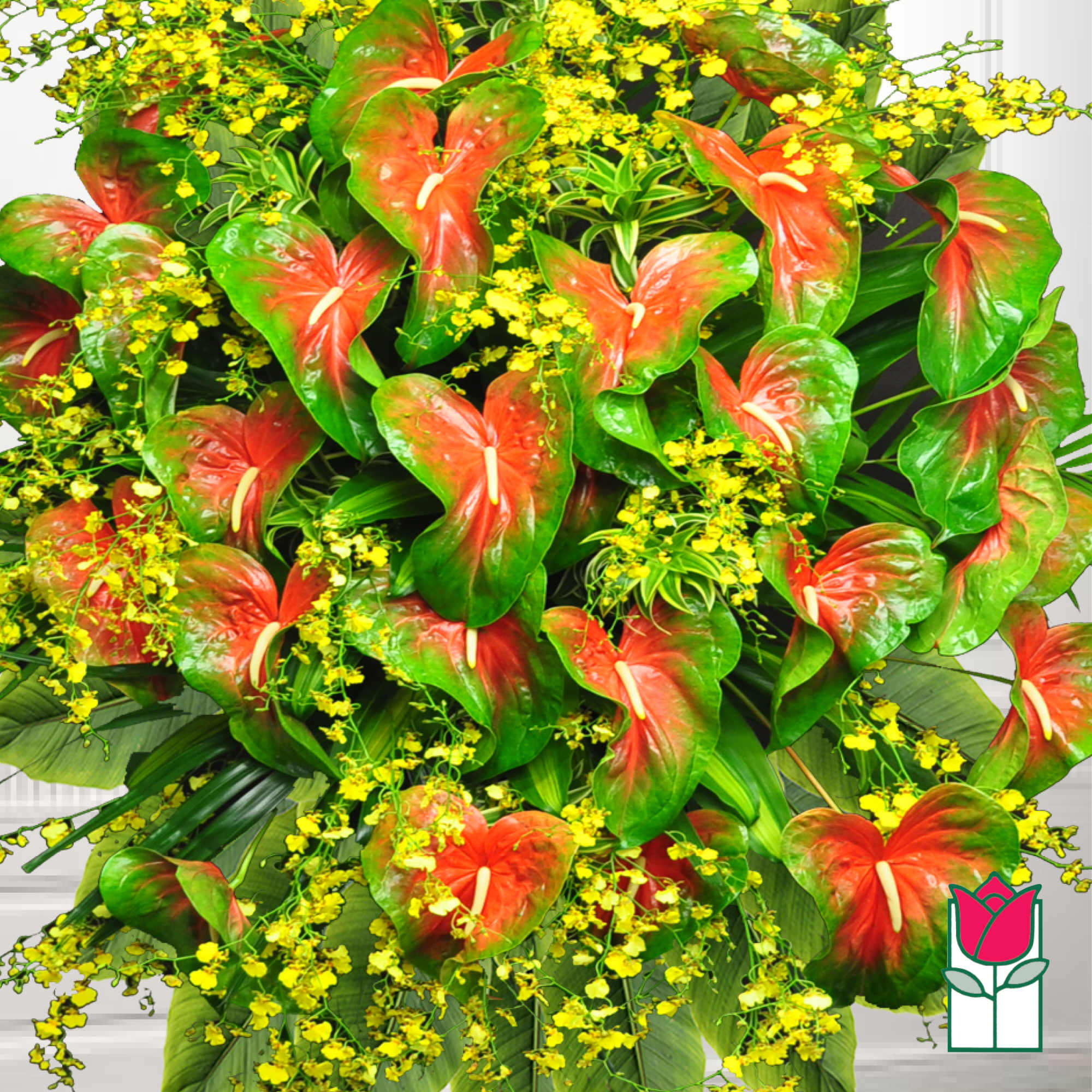 Arrangement of red anthuriums with yellow filler flowers