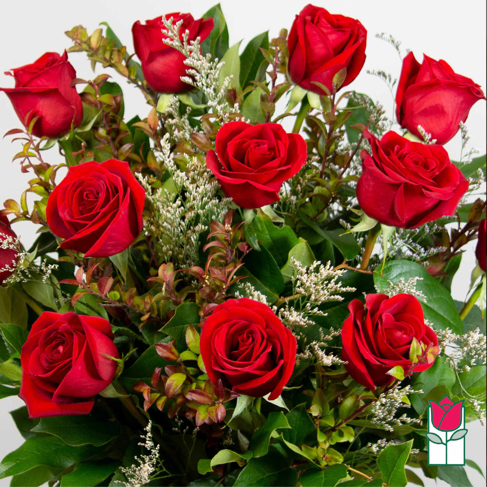 Bouquet of red roses with white filler flowers