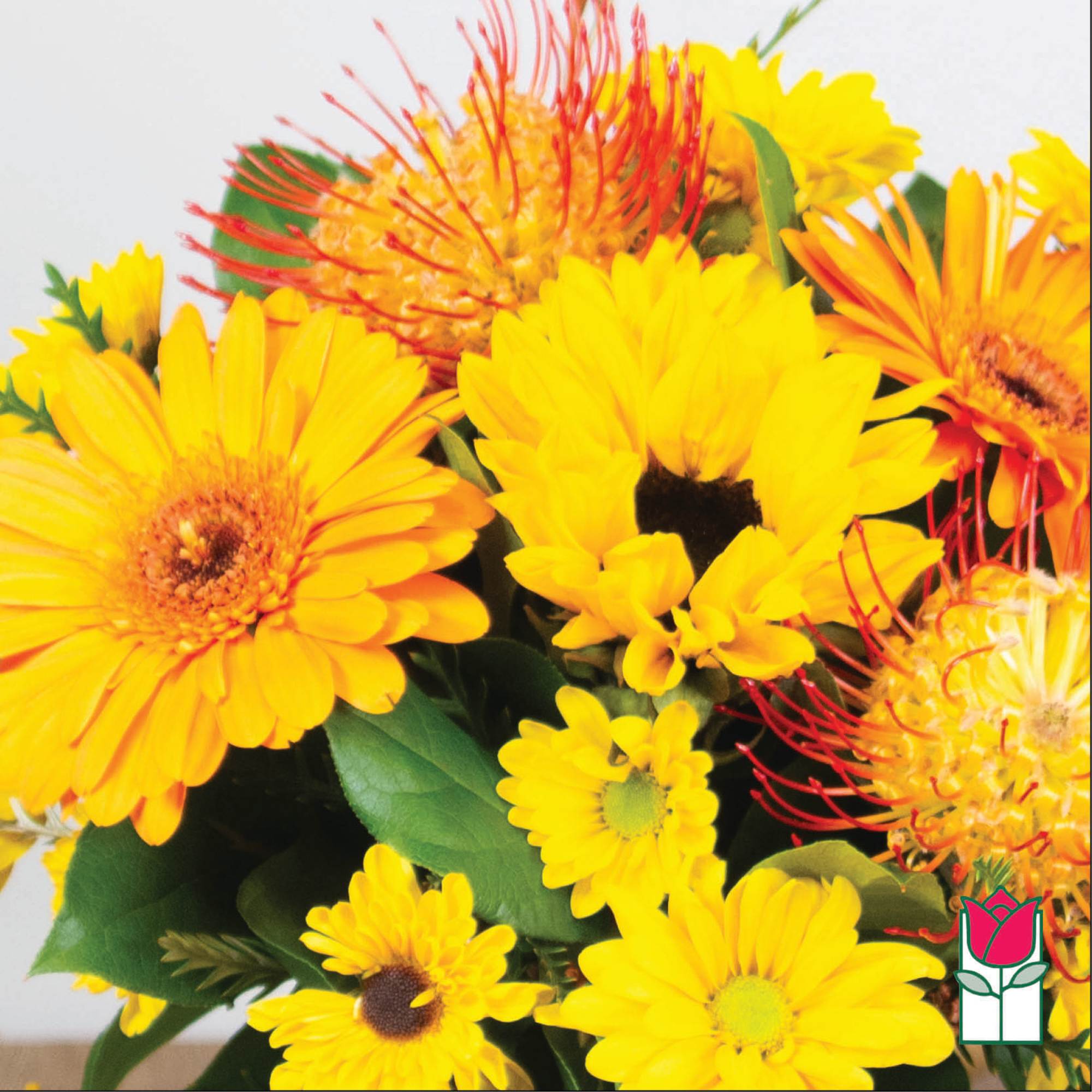 Bouquet of yellow daisies and orange pincushion flowers