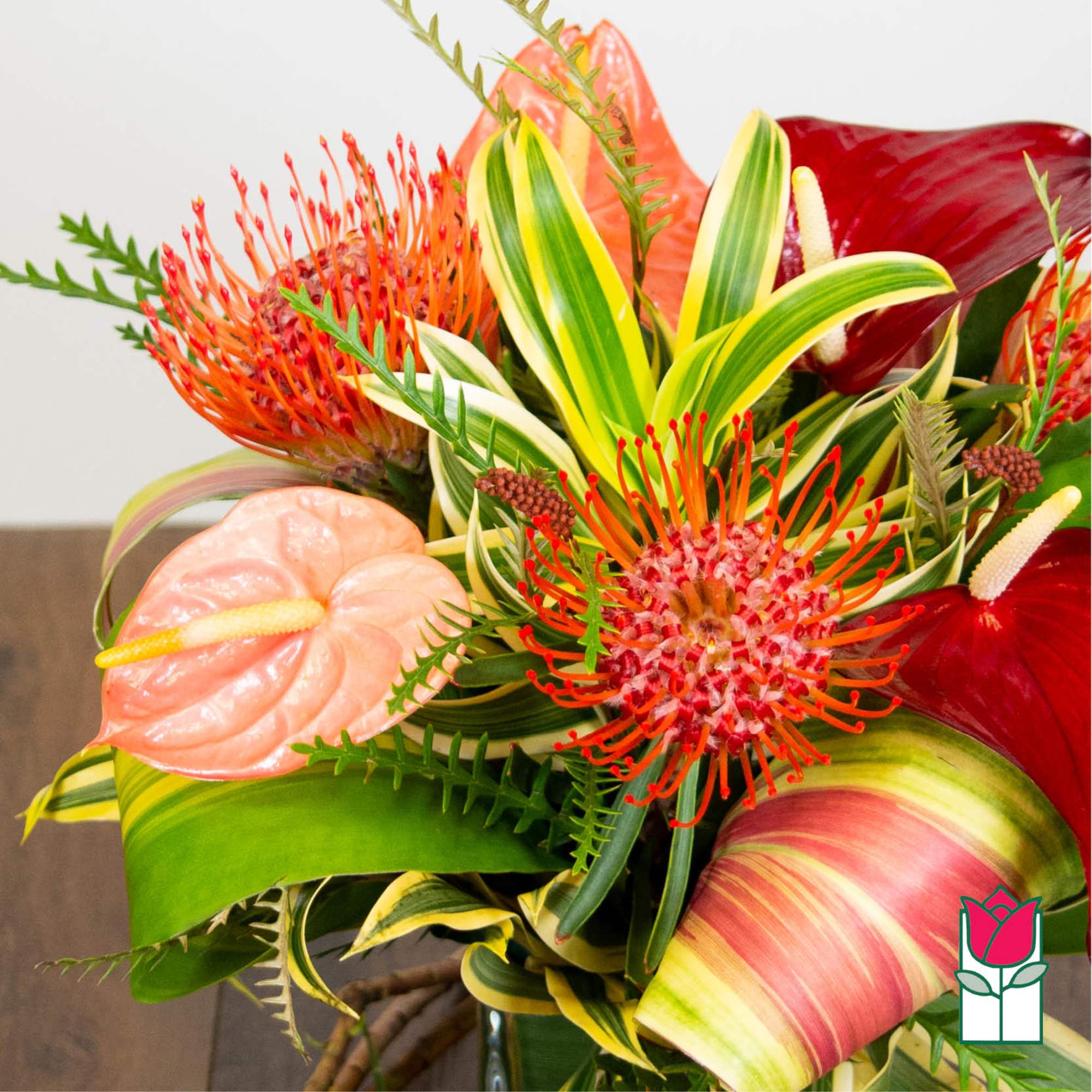 Tropical bouquet with red anthuriums and orange pincushion protea