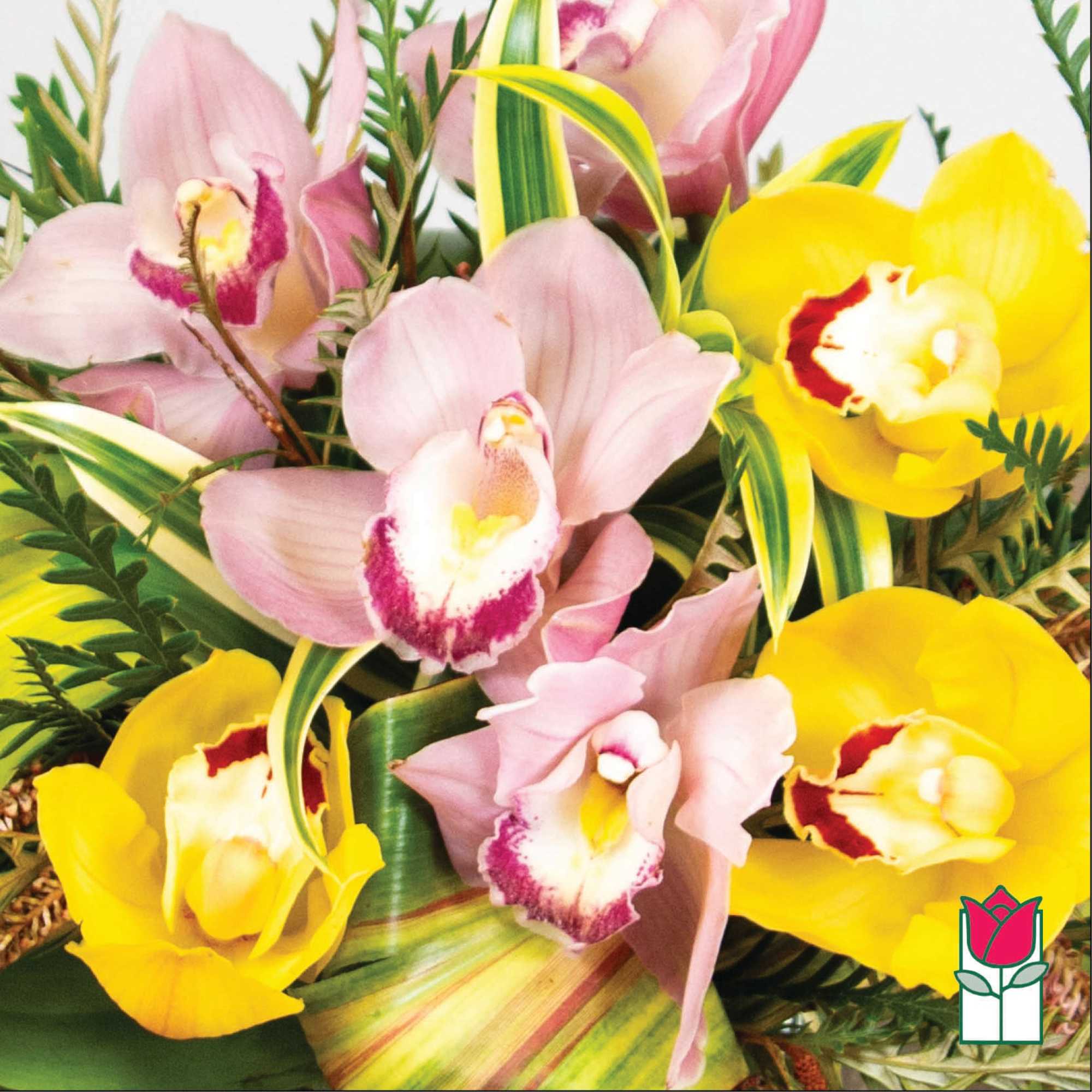 Bouquet of pink and yellow orchids with variegated leaves