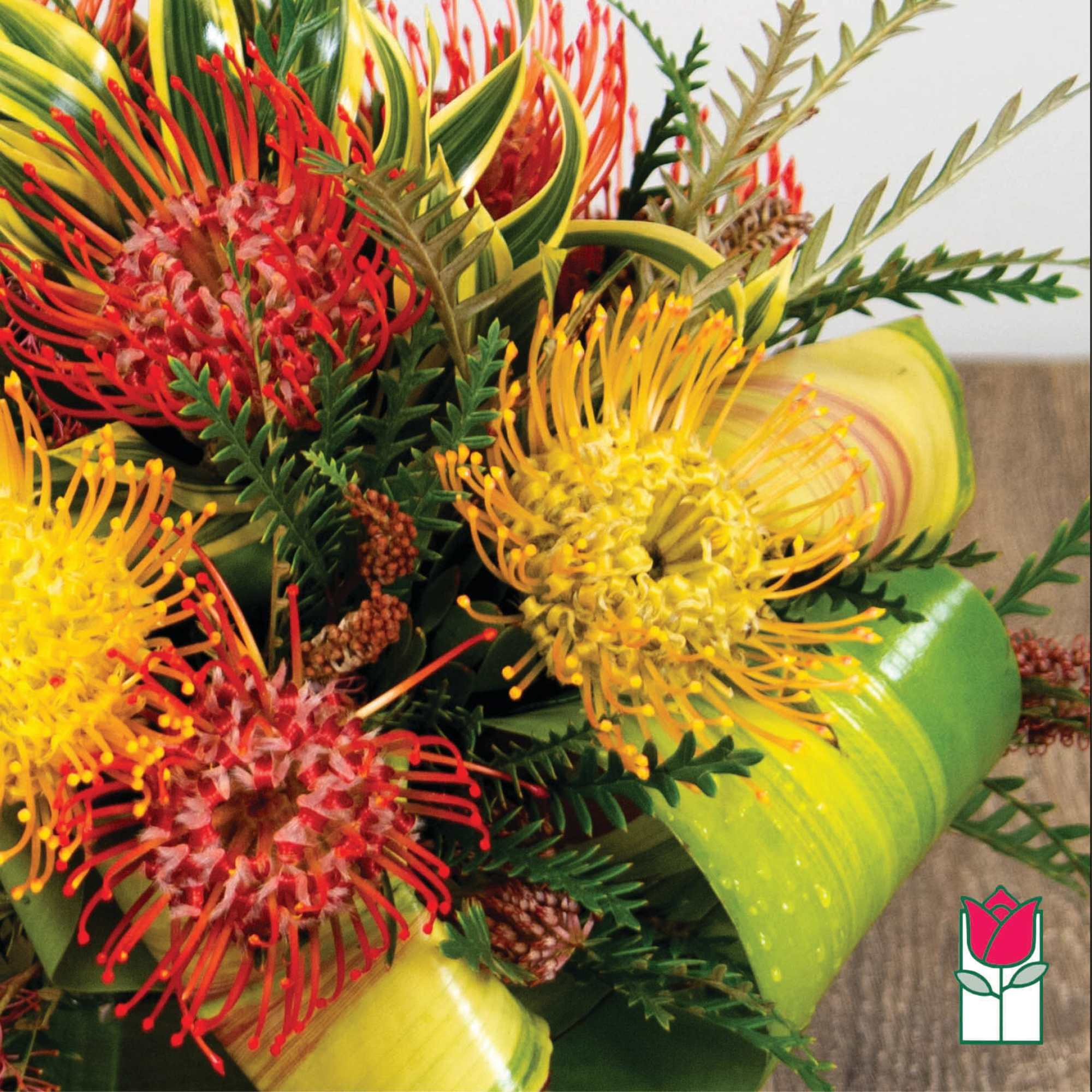 Bouquet of red and yellow pincushion protea with green foliage