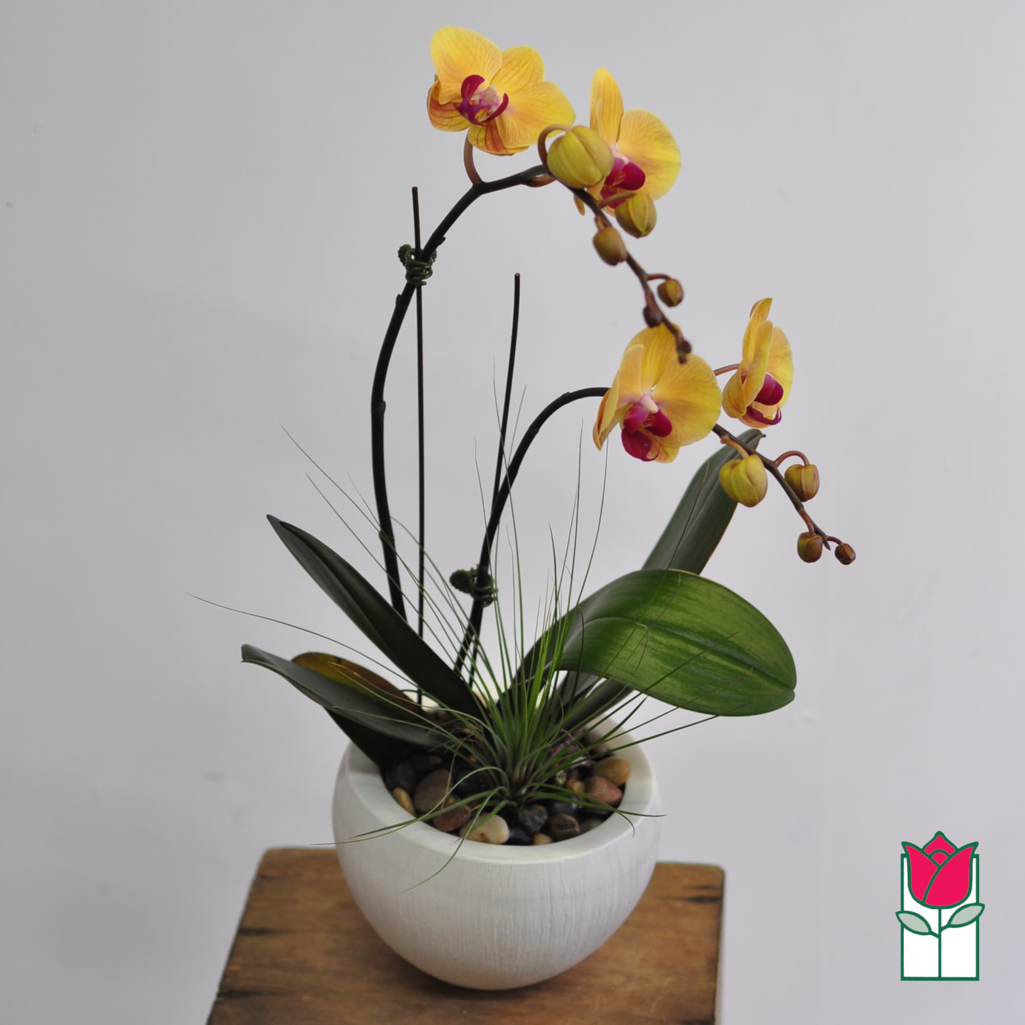 Yellow orchid arrangement in a white bowl planter