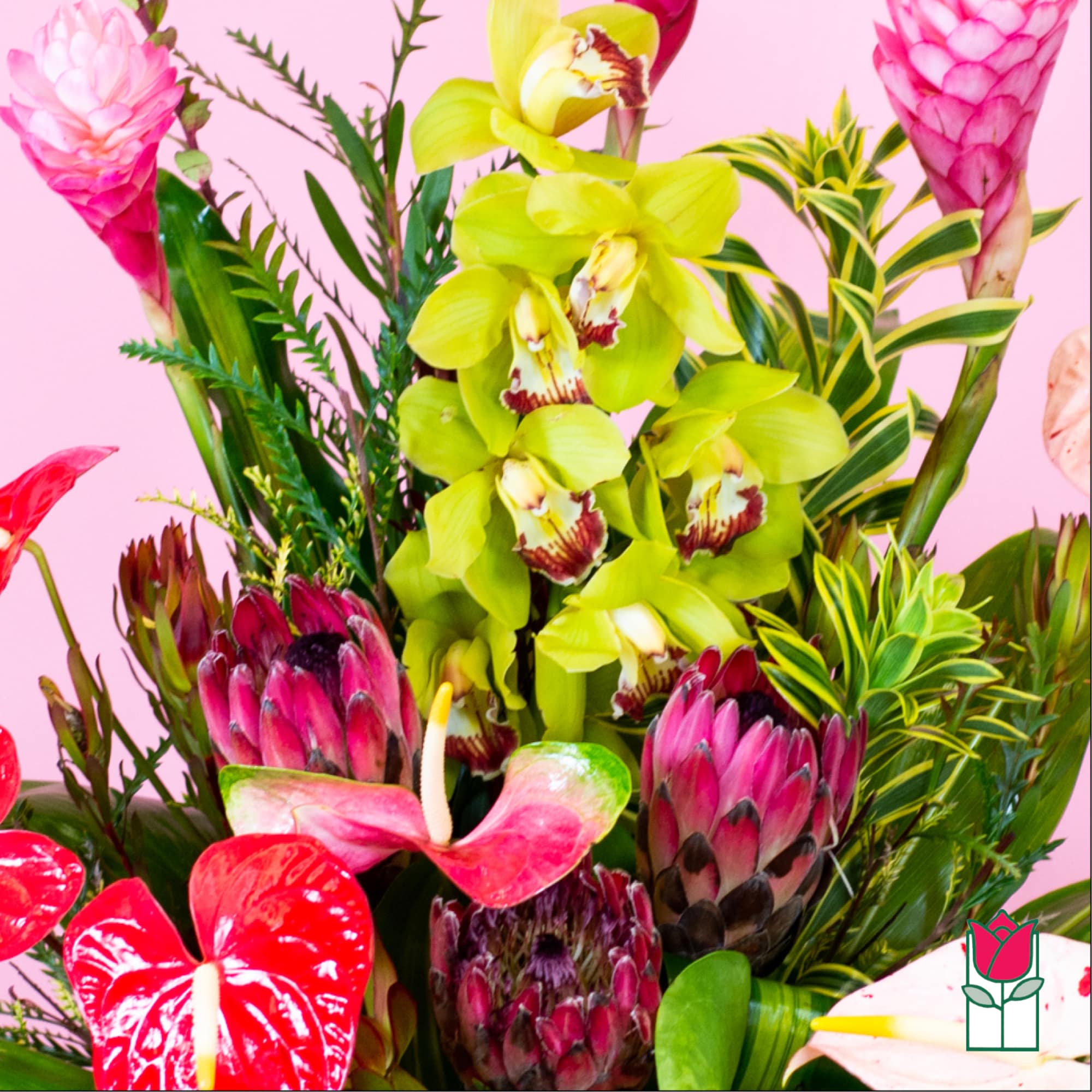 Tropical bouquet with green orchids, pink protea, and red anthuriums