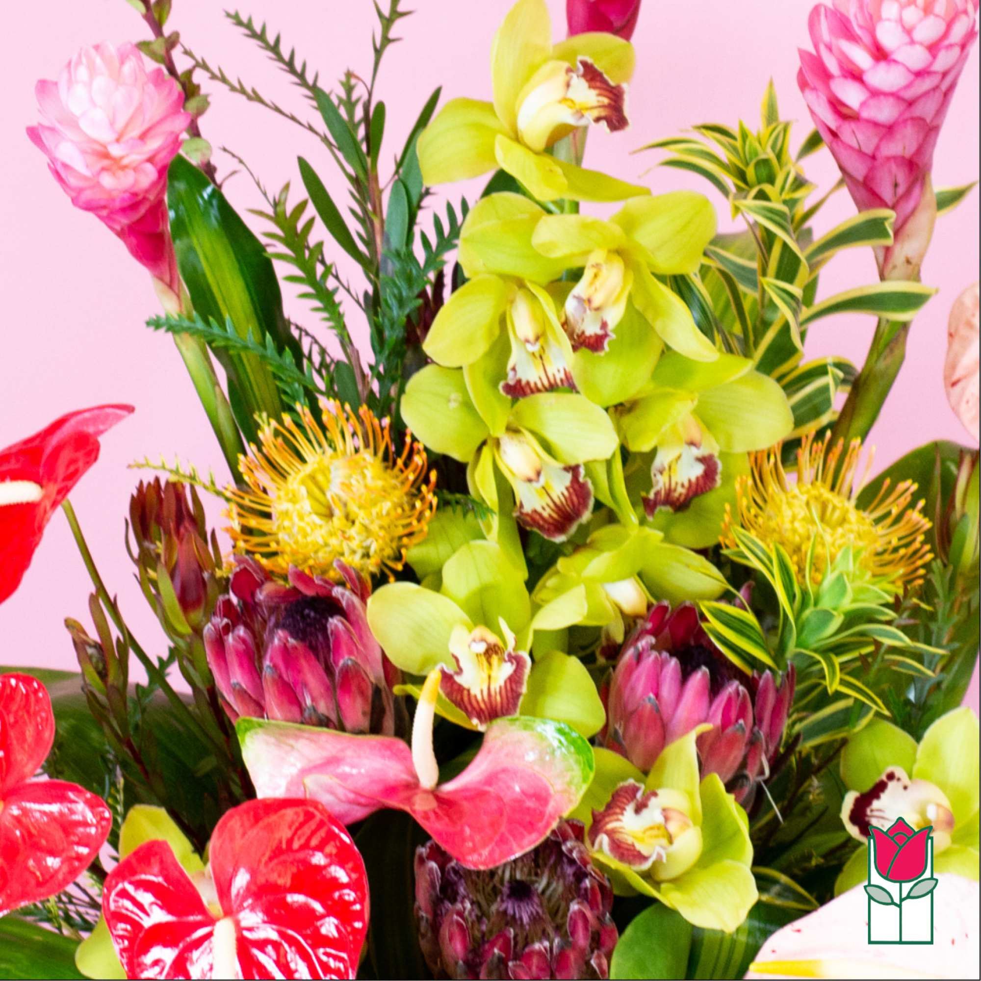 Tropical bouquet with green orchids, pink ginger flowers, and red anthuriums
