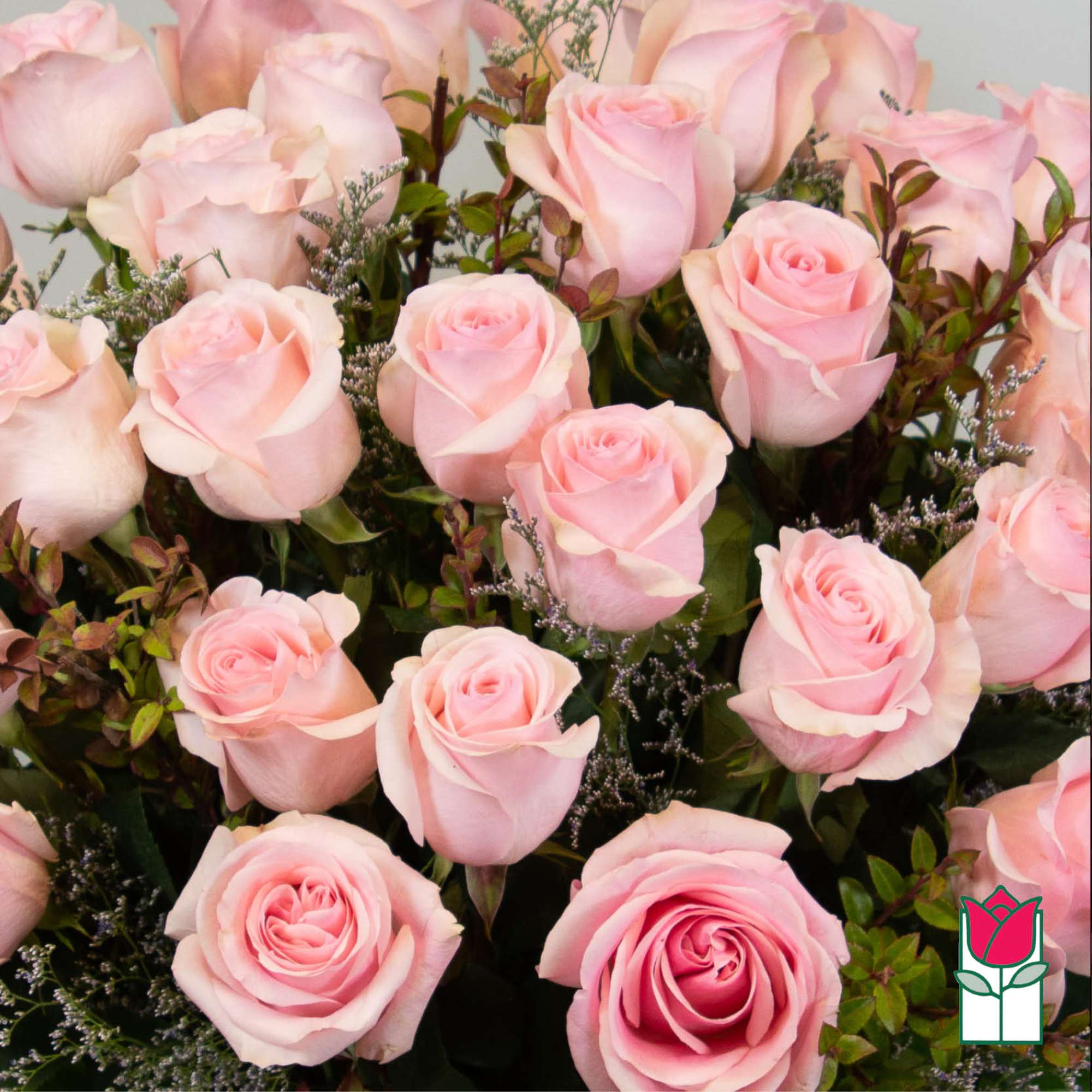 Bouquet of pale pink roses with small filler flowers