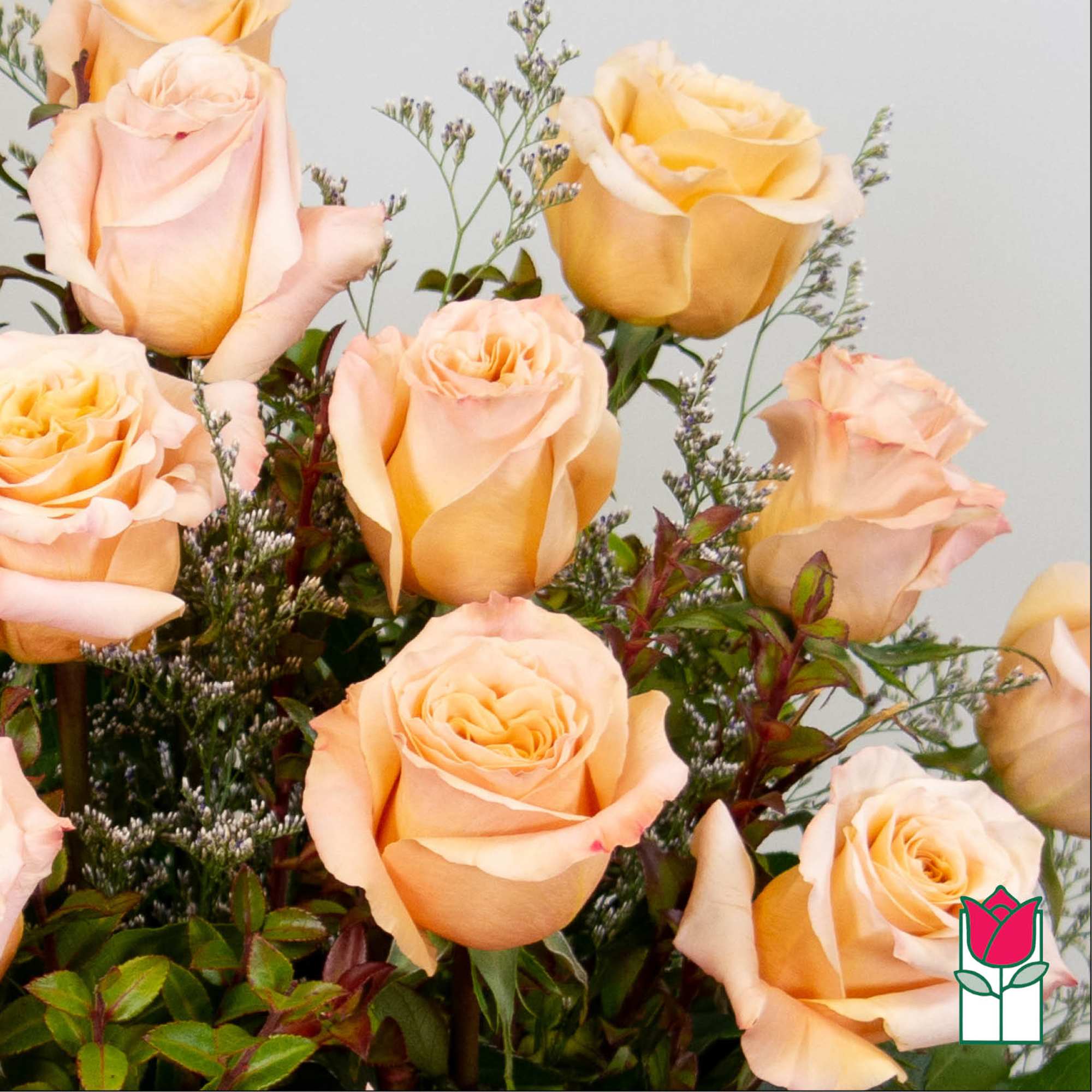 Peach roses arranged with small filler flowers.