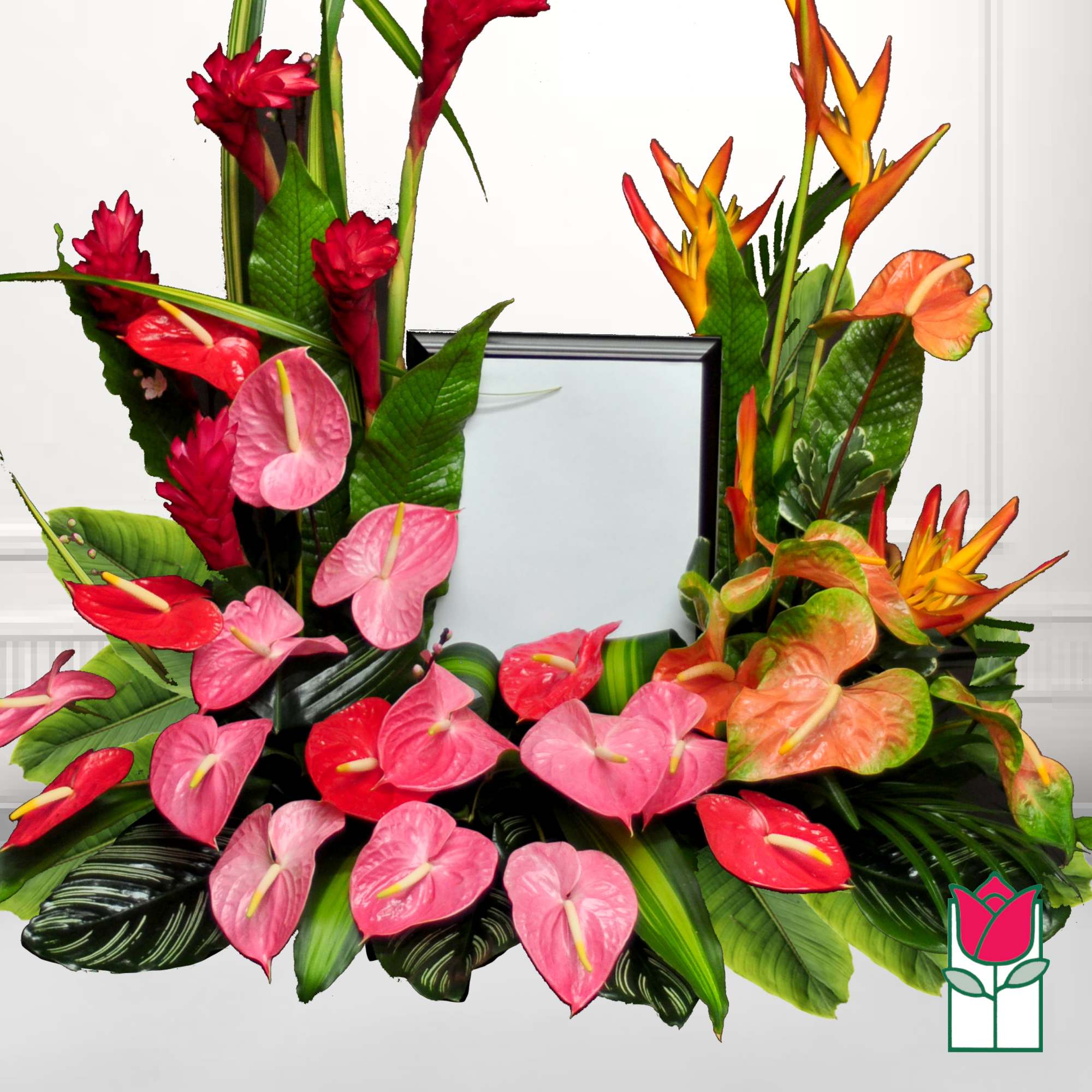 Tropical floral arrangement with pink and orange anthuriums and bird-of-paradise around a frame