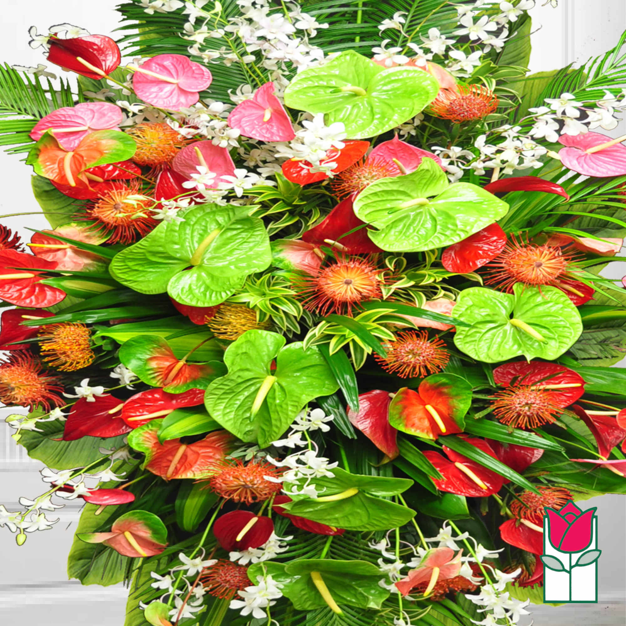 Tropical bouquet with red and green anthuriums and white filler flowers