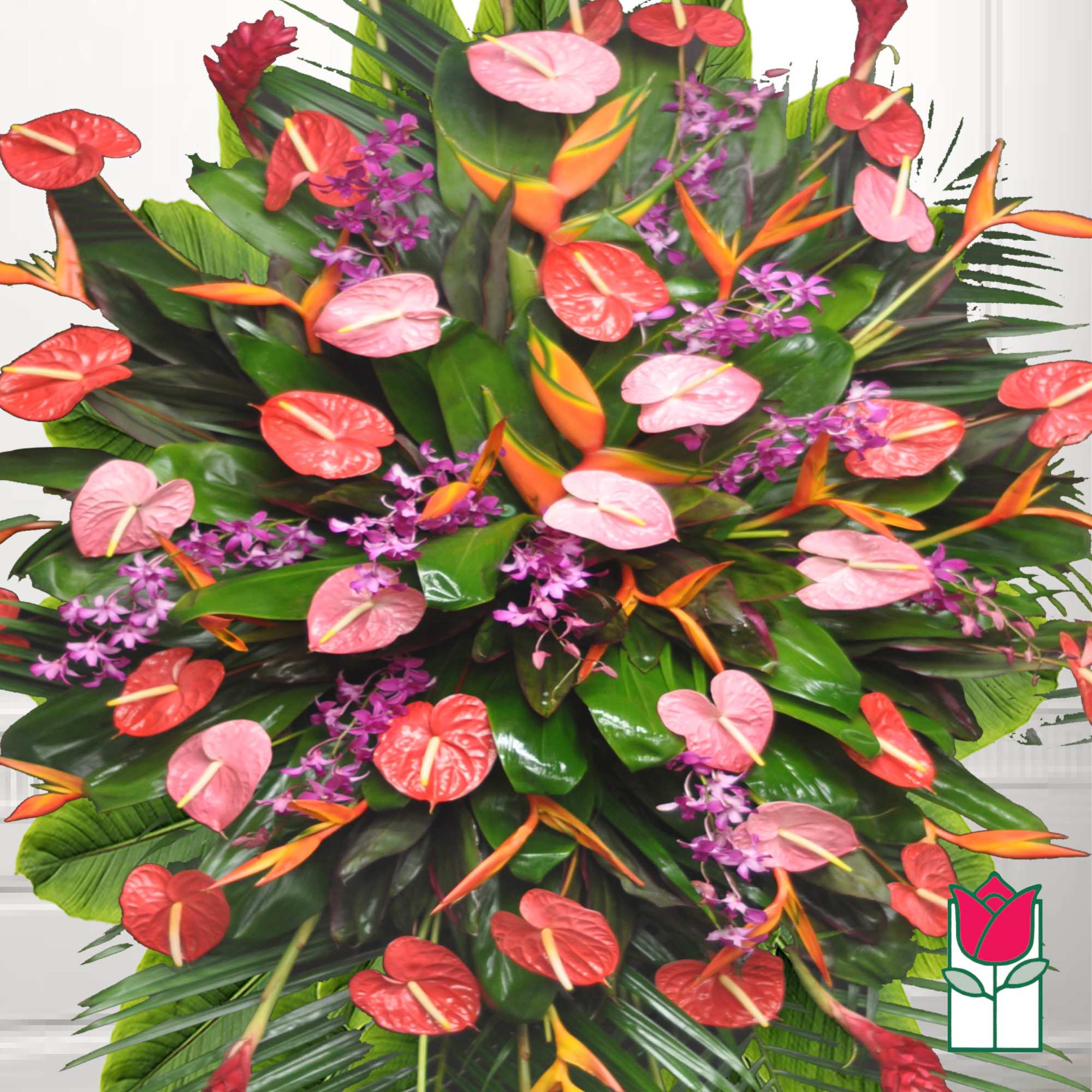 Tropical arrangement with red and pink anthuriums and orange bird of paradise