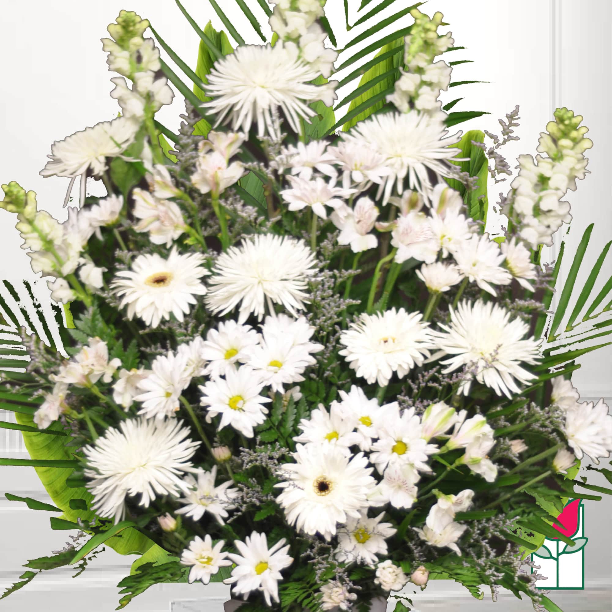 White daisy-like flowers arranged in a large bouquet with green foliage.
